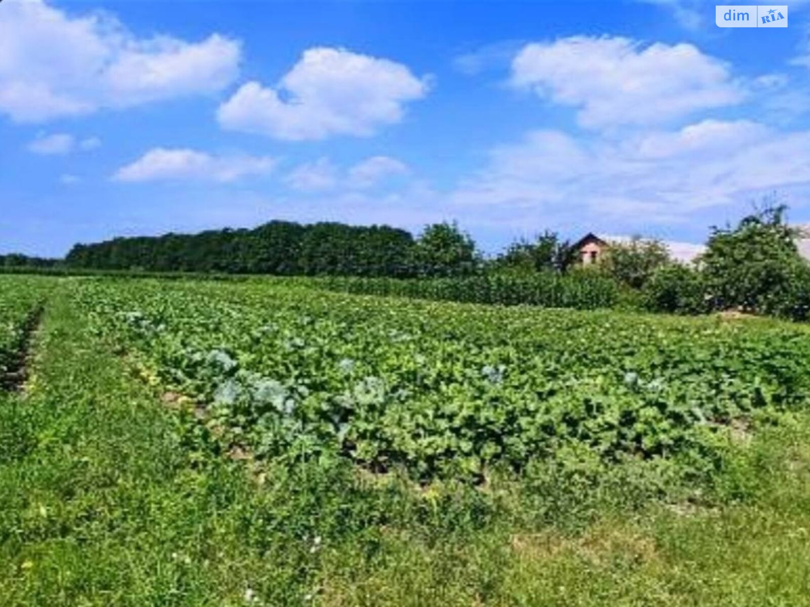 двоповерховий будинок, 140 кв. м, цегла. Продаж у Славному фото 1 двоповерховий будинок, 140 кв. м, цегла. Продаж у Славному фото 1