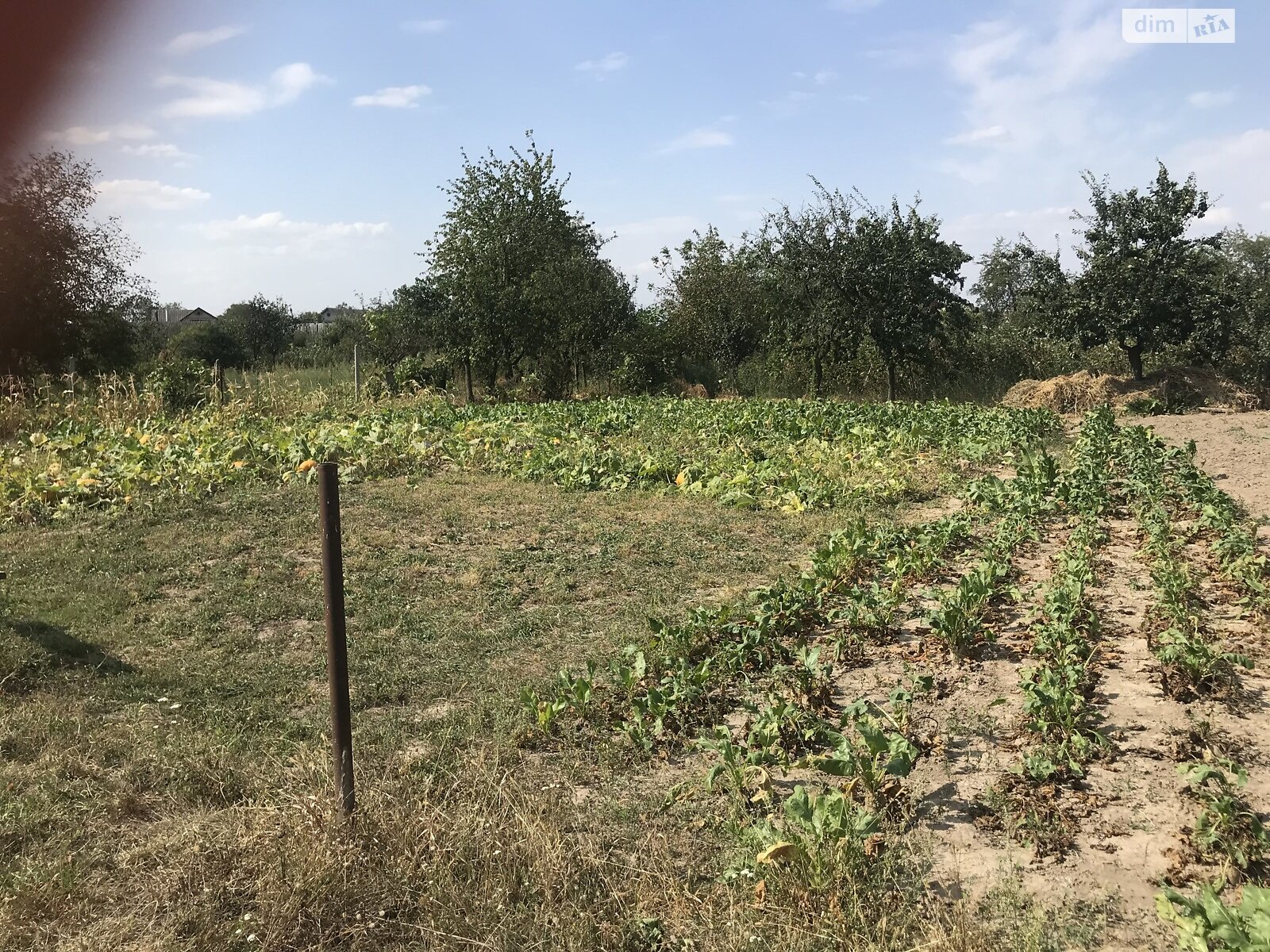 двоповерховий будинок, 140 кв. м, цегла. Продаж у Славному фото 1 двоповерховий будинок, 140 кв. м, цегла. Продаж у Славному фото 1