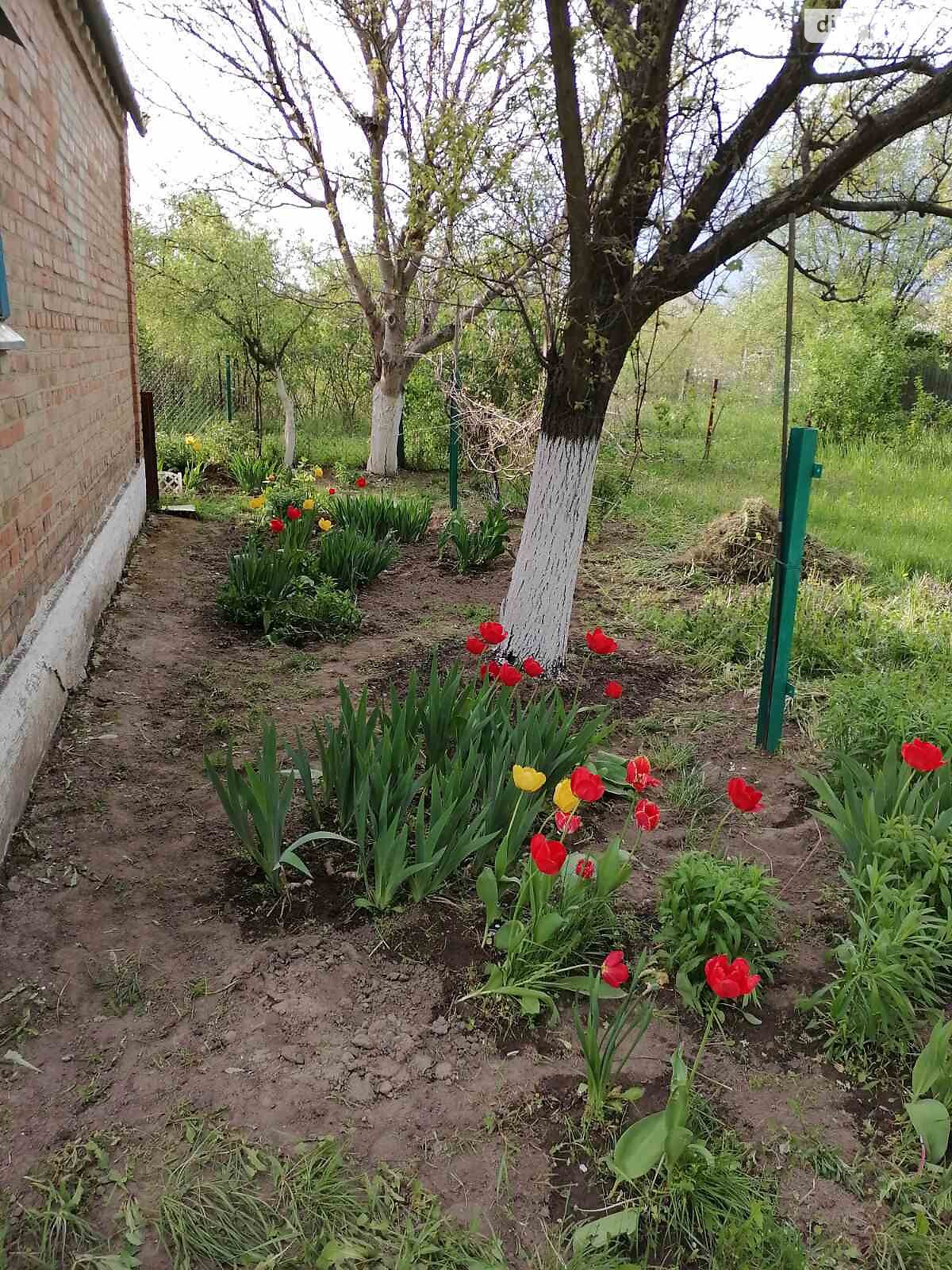 двухэтажный дом с отоплением, 38 кв. м, кирпич. Продажа в Славном фото 1 двухэтажный дом с отоплением, 38 кв. м, кирпич. Продажа в Славном фото 1