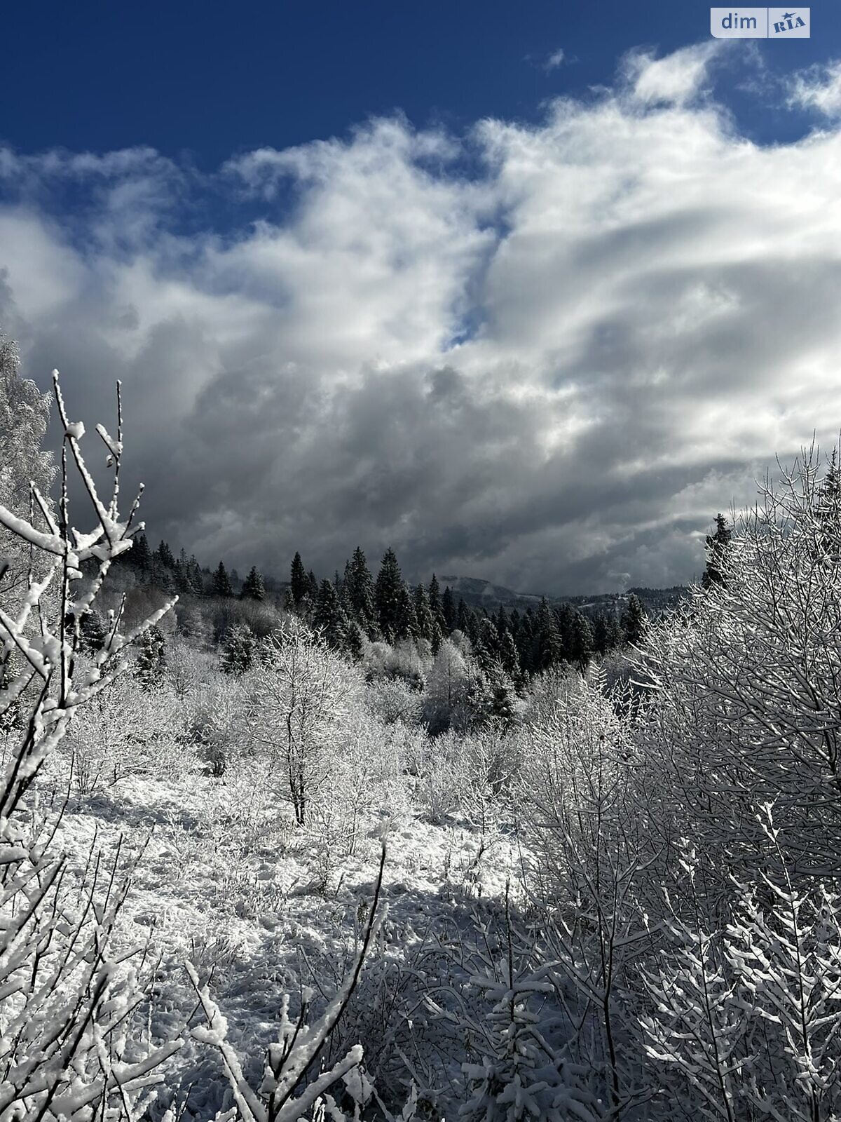 трехэтажный дом беседка, 461.9 кв. м, кирпич. Продажа в Славском фото 1 трехэтажный дом беседка, 461.9 кв. м, кирпич. Продажа в Славском фото 1