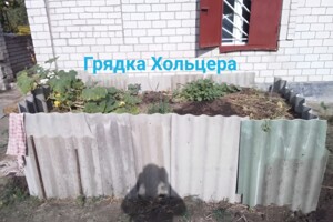 одноповерховий будинок бесідка, 40 кв. м, цегла. Продаж у Сливине фото 2