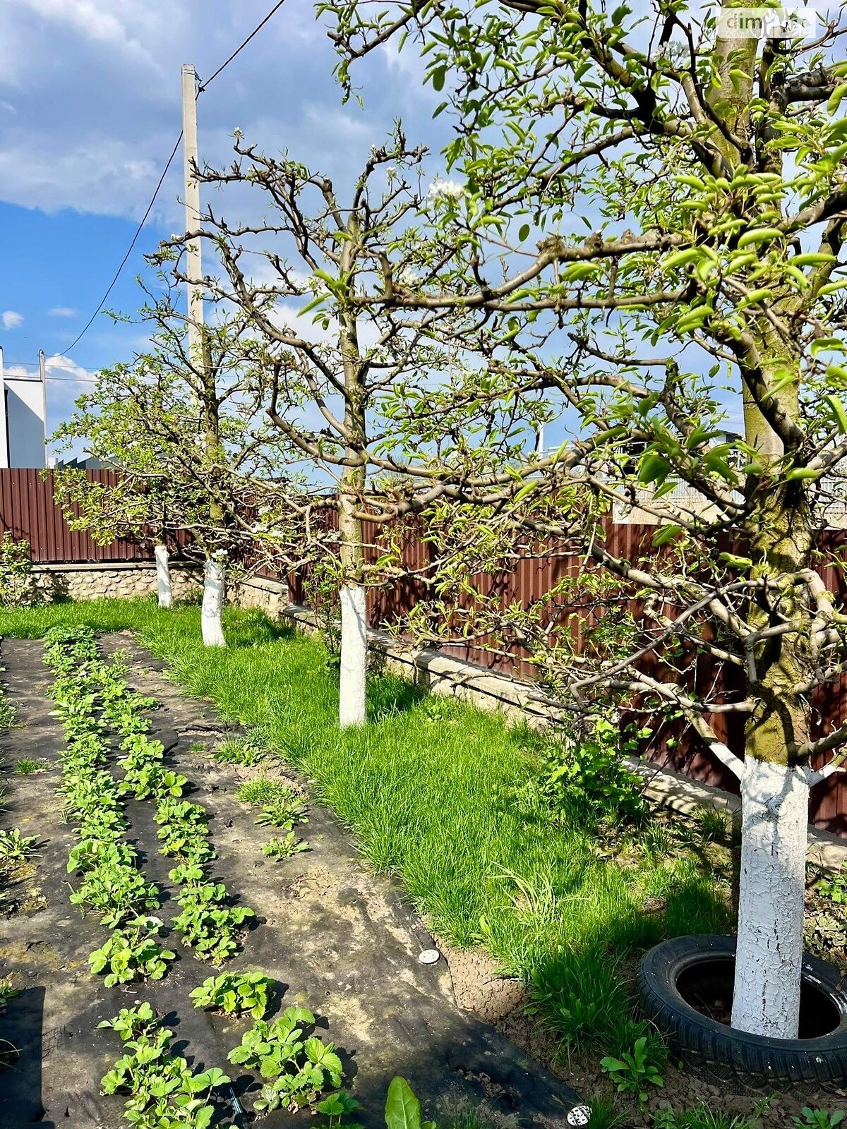 двухэтажный дом с гаражом, 300 кв. м, кирпич. Продажа в Смыковцы фото 1 двухэтажный дом с гаражом, 300 кв. м, кирпич. Продажа в Смыковцы фото 1