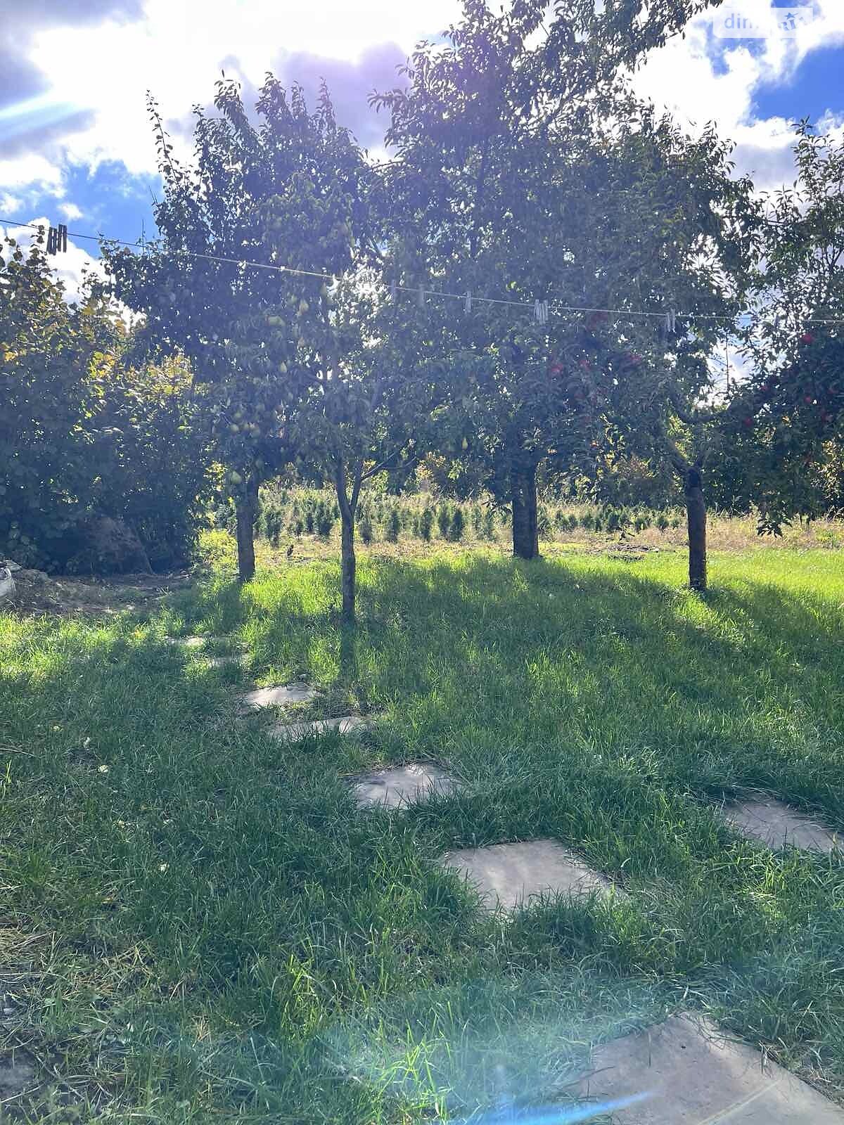 двоповерховий будинок, 280 кв. м, кирпич. Продаж у Смиківці фото 1 двоповерховий будинок, 280 кв. м, кирпич. Продаж у Смиківці фото 1