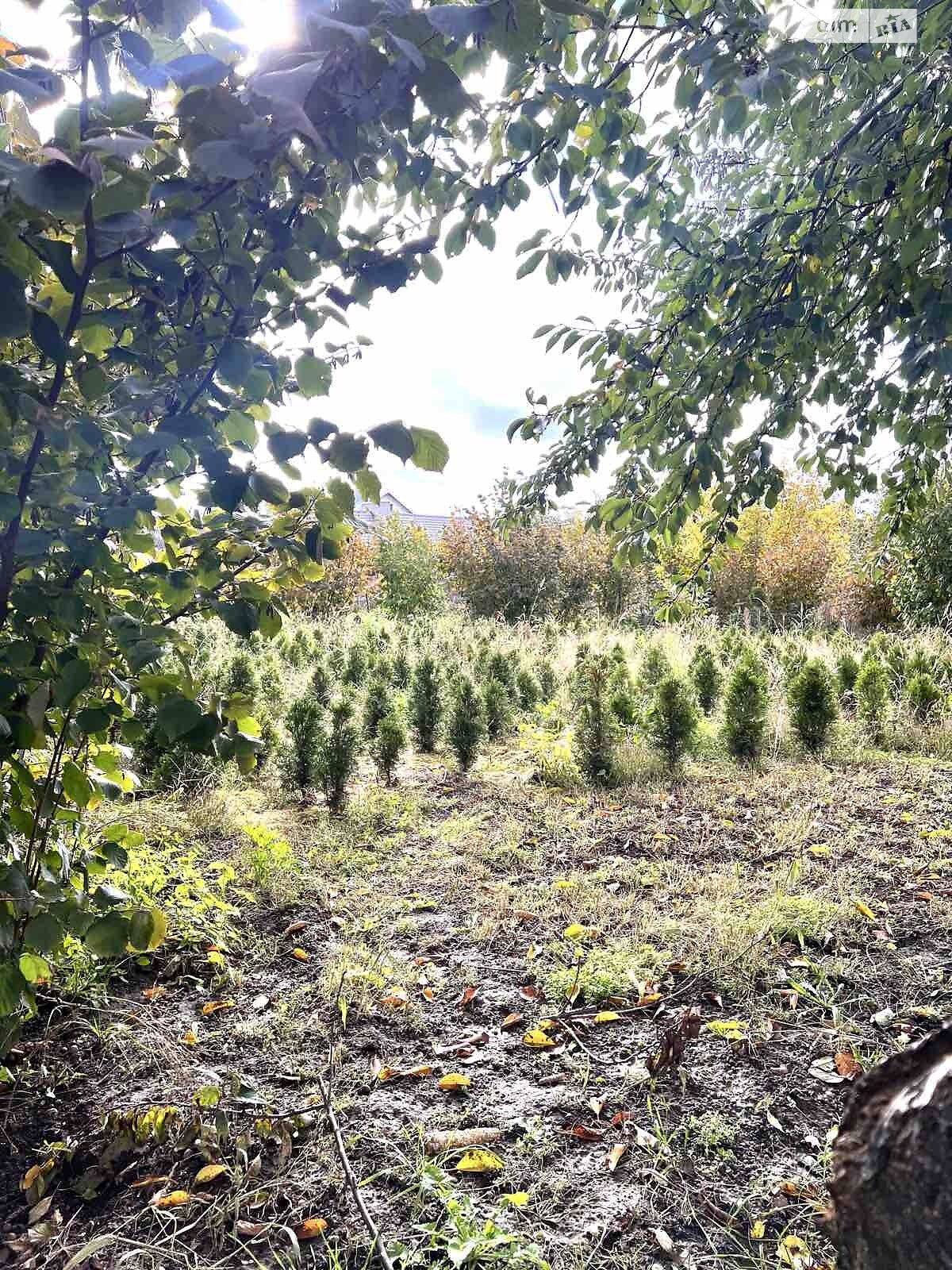 двоповерховий будинок, 280 кв. м, кирпич. Продаж у Смиківці фото 1 двоповерховий будинок, 280 кв. м, кирпич. Продаж у Смиківці фото 1