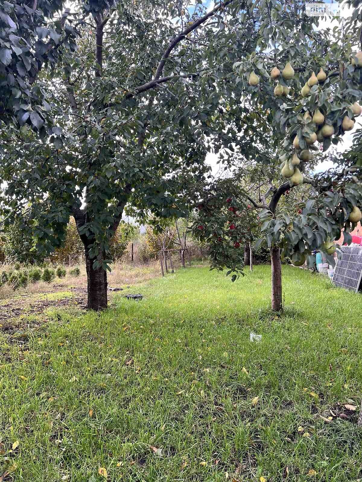 двоповерховий будинок, 280 кв. м, кирпич. Продаж у Смиківці фото 1 двоповерховий будинок, 280 кв. м, кирпич. Продаж у Смиківці фото 1