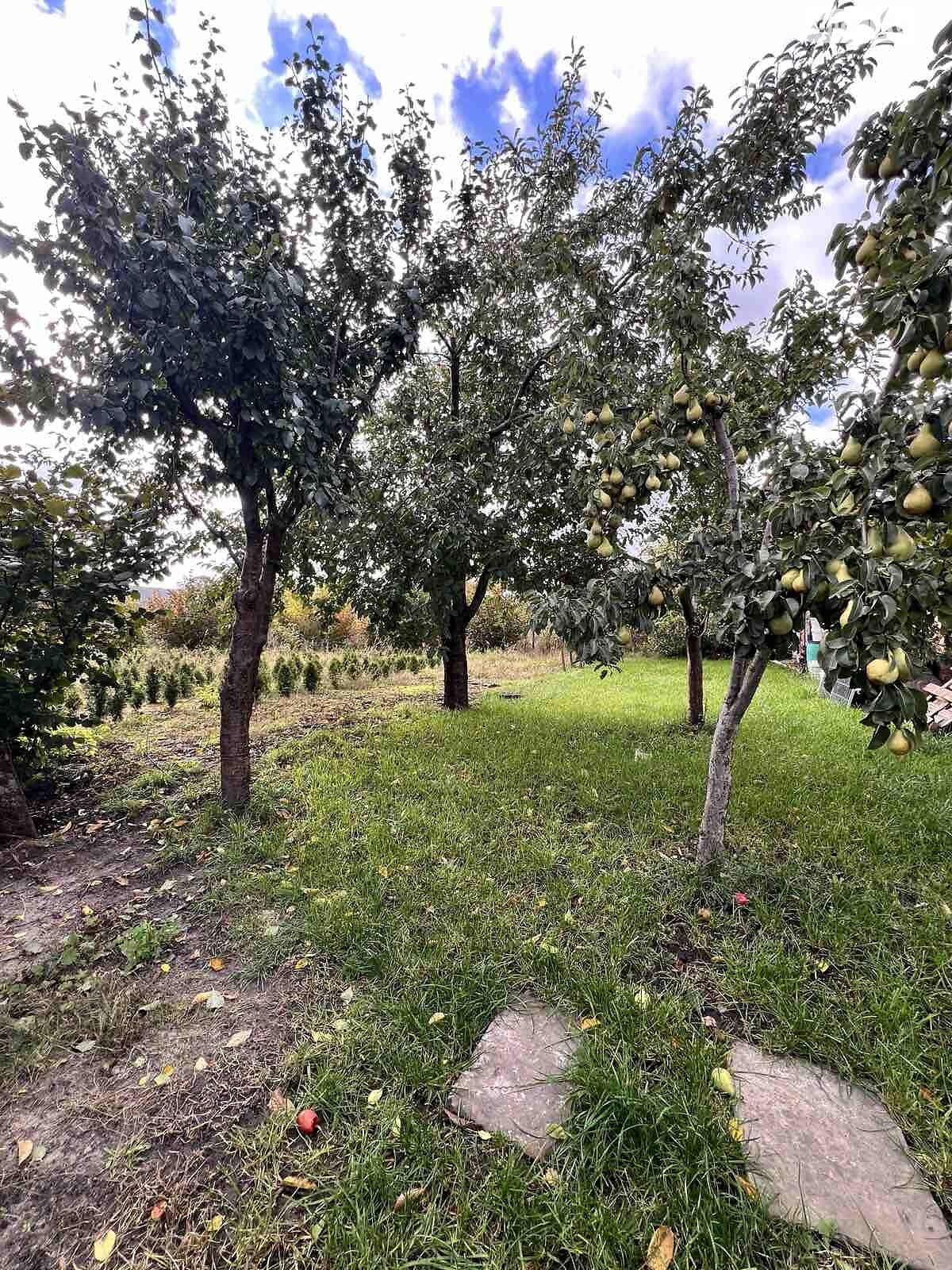 двоповерховий будинок, 280 кв. м, кирпич. Продаж у Смиківці фото 1 двоповерховий будинок, 280 кв. м, кирпич. Продаж у Смиківці фото 1