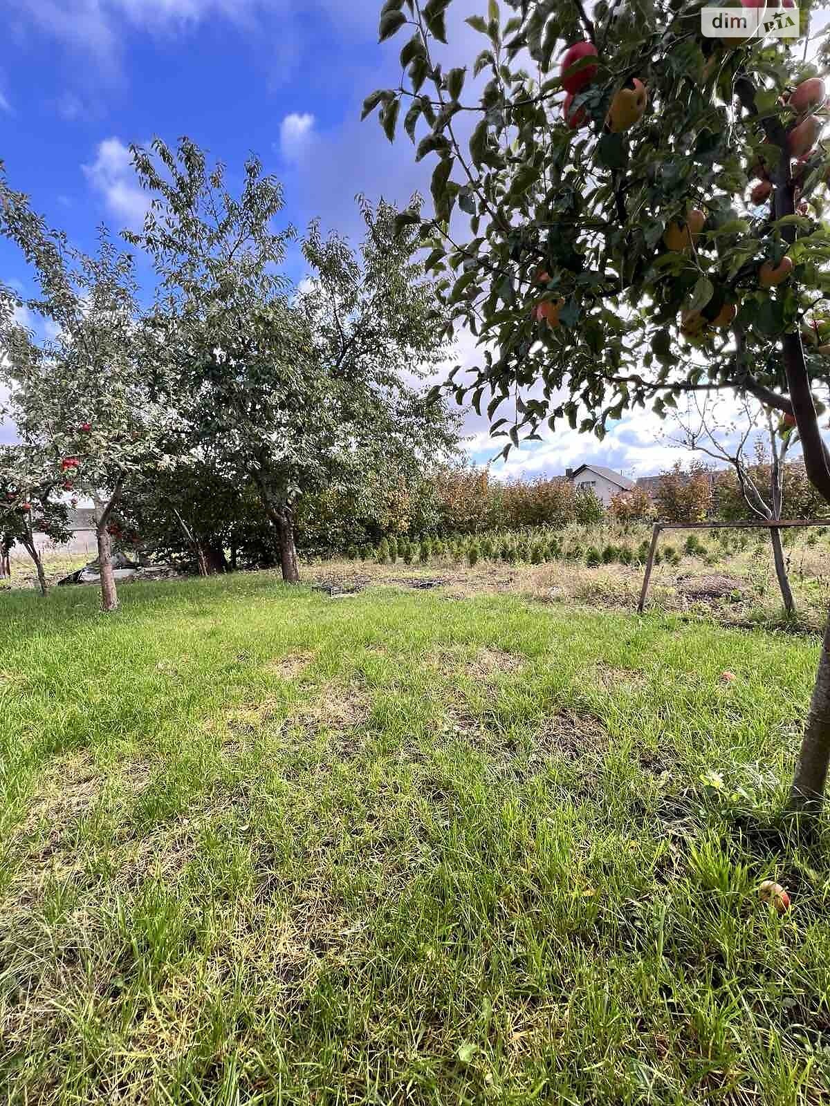 двоповерховий будинок, 280 кв. м, кирпич. Продаж у Смиківці фото 1 двоповерховий будинок, 280 кв. м, кирпич. Продаж у Смиківці фото 1