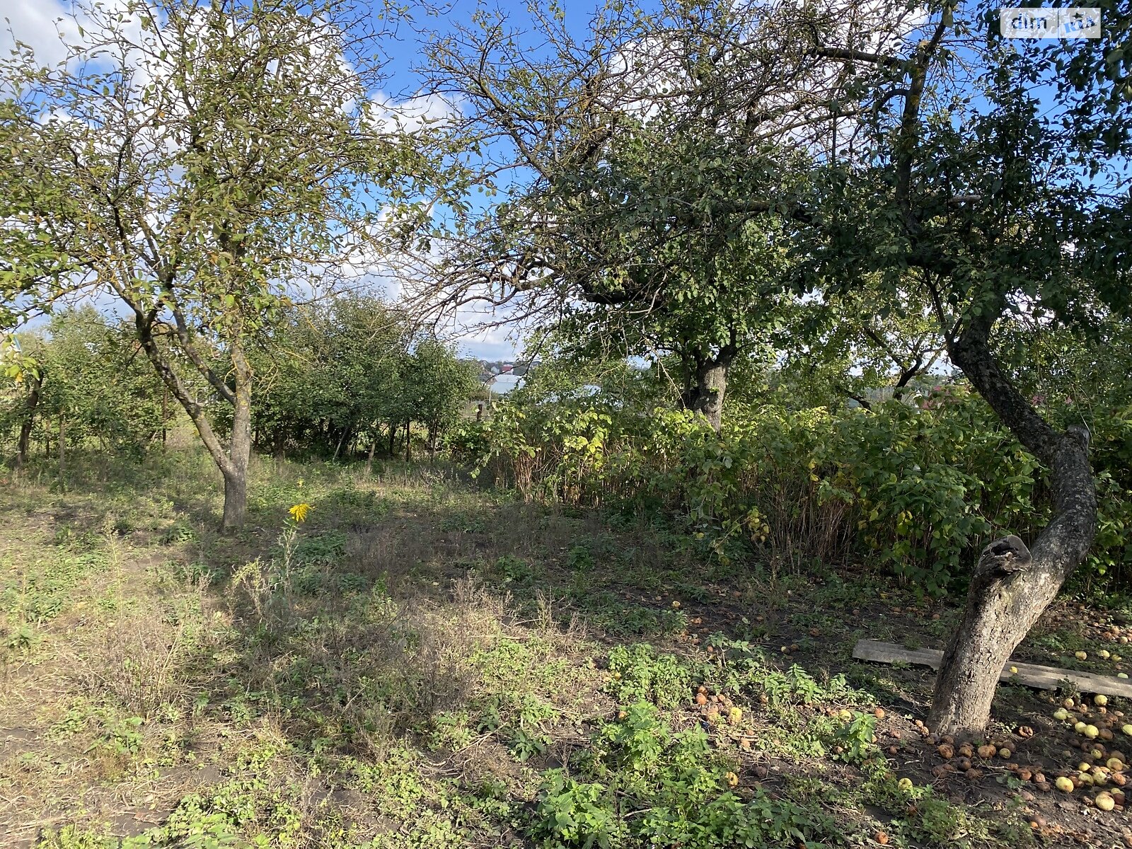 одноэтажный дом с отоплением, 43.1 кв. м, глинобитный. Продажа в Смыковцы фото 1 одноэтажный дом с отоплением, 43.1 кв. м, глинобитный. Продажа в Смыковцы фото 1