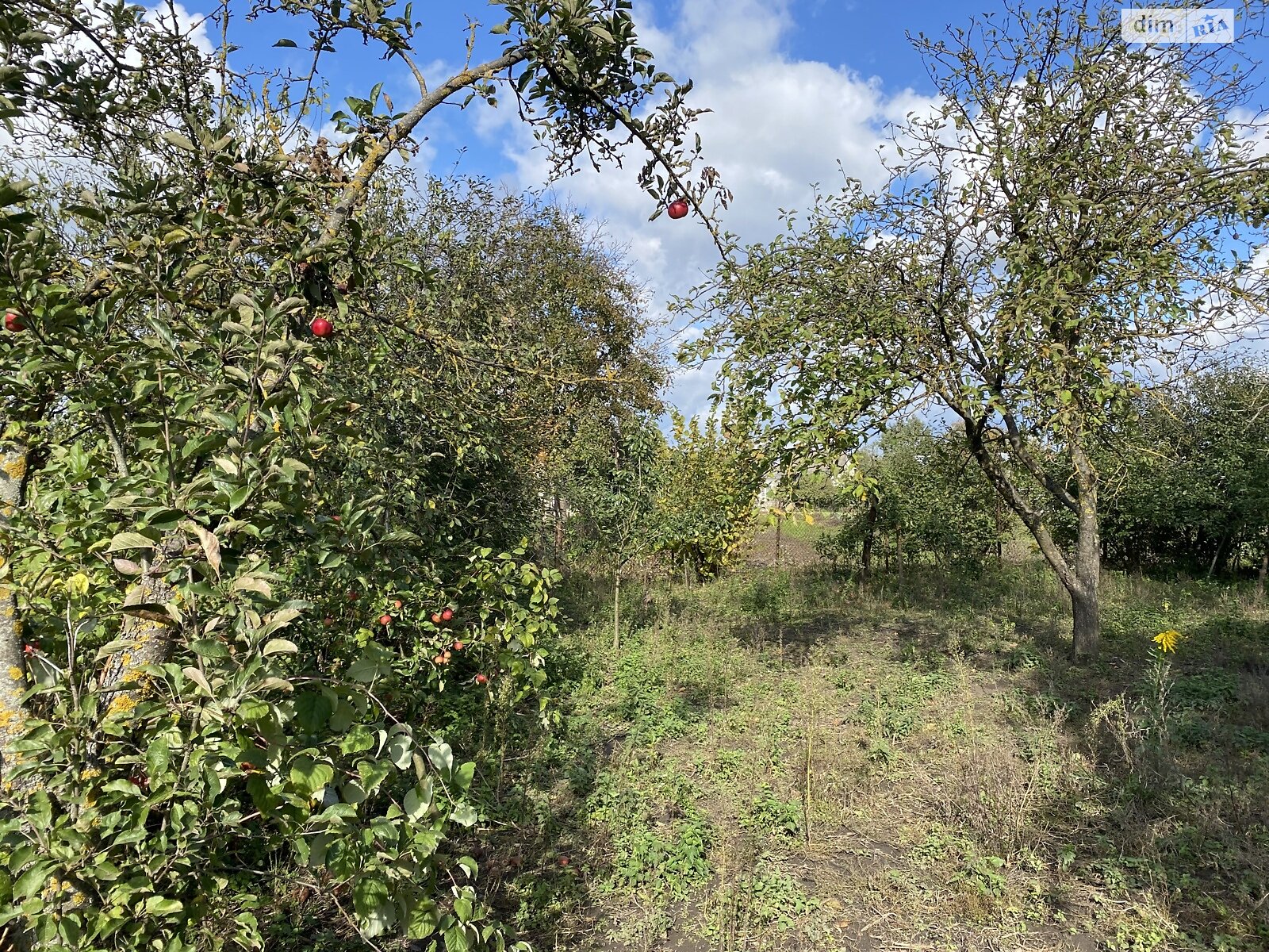 одноэтажный дом с отоплением, 43.1 кв. м, глинобитный. Продажа в Смыковцы фото 1 одноэтажный дом с отоплением, 43.1 кв. м, глинобитный. Продажа в Смыковцы фото 1