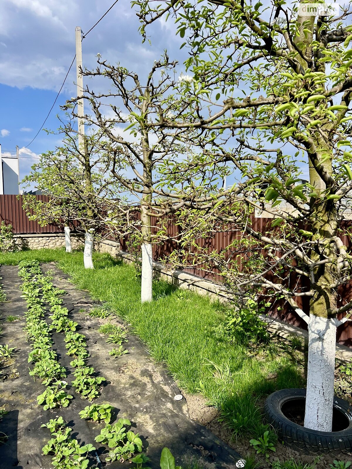 двоповерховий будинок з гаражем, 300 кв. м, цегла. Продаж у Смиківці фото 1 двоповерховий будинок з гаражем, 300 кв. м, цегла. Продаж у Смиківці фото 1