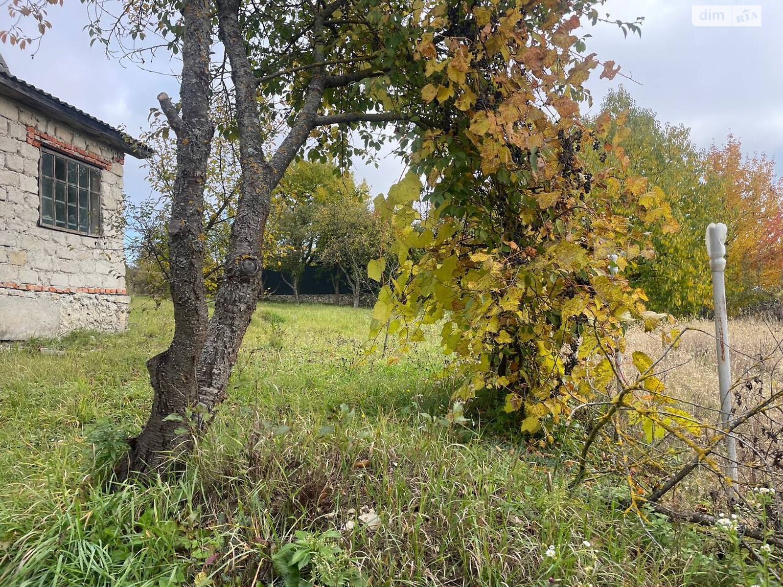 одноповерховий будинок, 36 кв. м, шлакоблок. Продаж у Смиківці фото 1 одноповерховий будинок, 36 кв. м, шлакоблок. Продаж у Смиківці фото 1