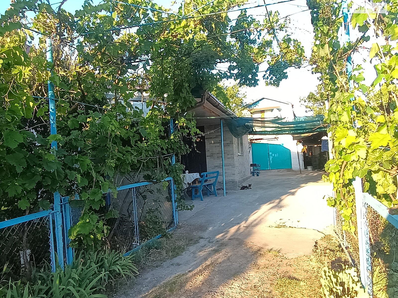 одноповерховий будинок з гаражем, 62.5 кв. м, цегла. Продаж в Софіїці, район Софіївка фото 1 одноповерховий будинок з гаражем, 62.5 кв. м, цегла. Продаж в Софіїці, район Софіївка фото 1