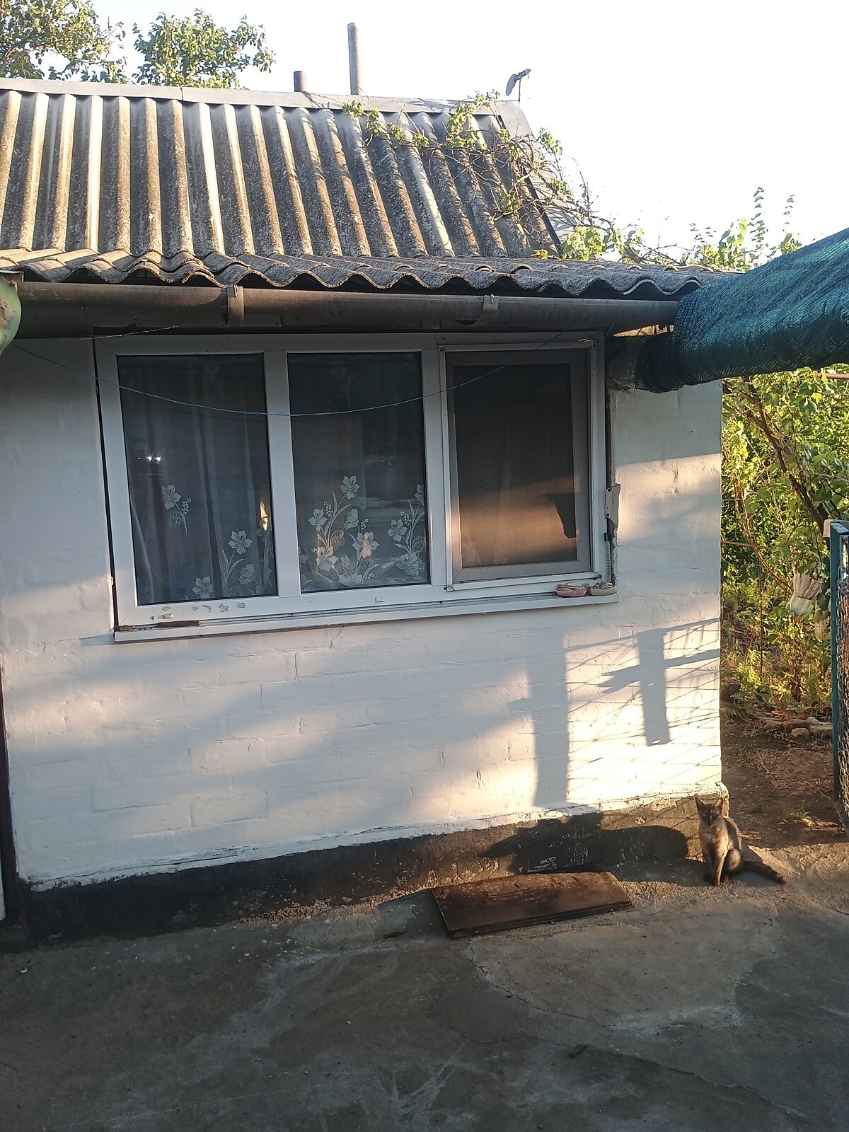 одноповерховий будинок з гаражем, 62.5 кв. м, цегла. Продаж в Софіїці, район Софіївка фото 1 одноповерховий будинок з гаражем, 62.5 кв. м, цегла. Продаж в Софіїці, район Софіївка фото 1