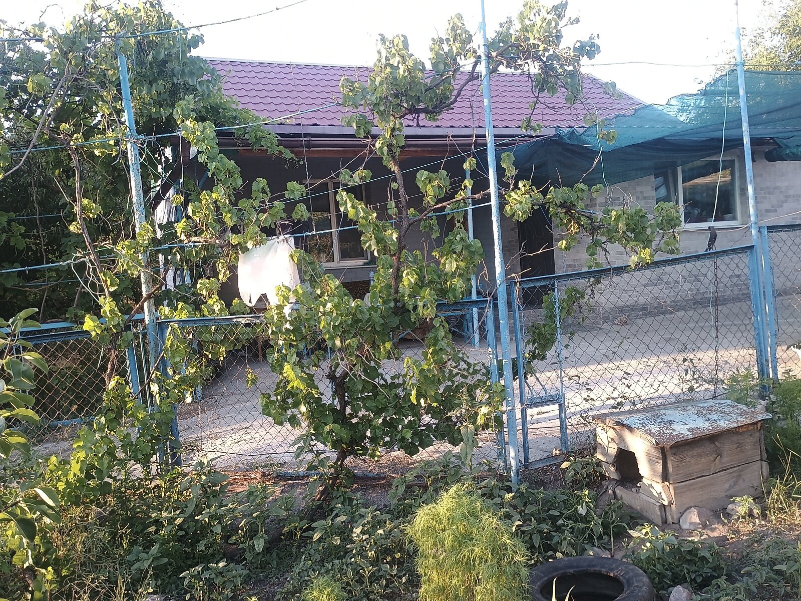 одноповерховий будинок з гаражем, 62.5 кв. м, цегла. Продаж в Софіїці, район Софіївка фото 1 одноповерховий будинок з гаражем, 62.5 кв. м, цегла. Продаж в Софіїці, район Софіївка фото 1