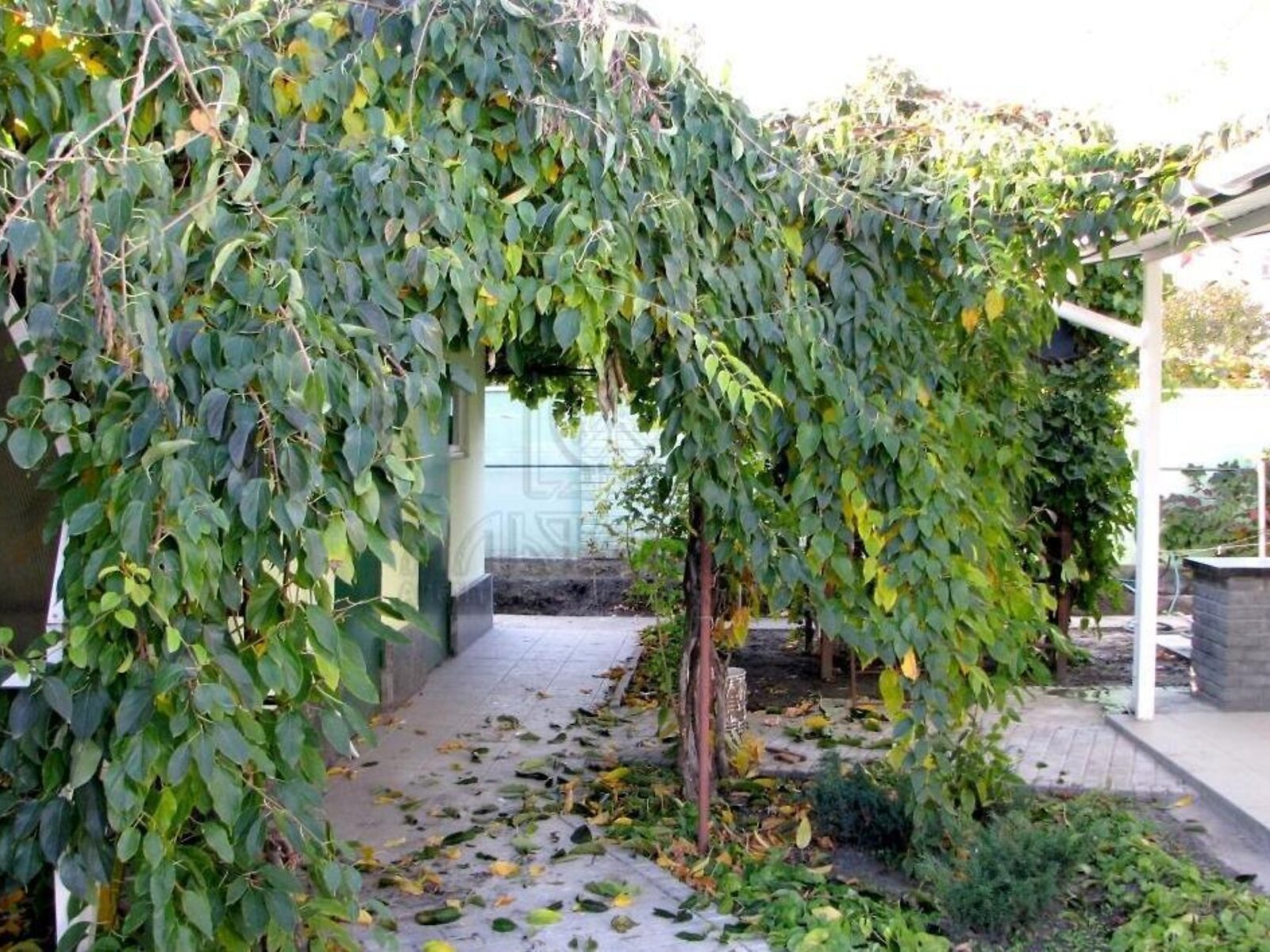трехэтажный дом, 347.5 кв. м, кирпич. Продажа в Софиевской Борщаговке фото 1 трехэтажный дом, 347.5 кв. м, кирпич. Продажа в Софиевской Борщаговке фото 1