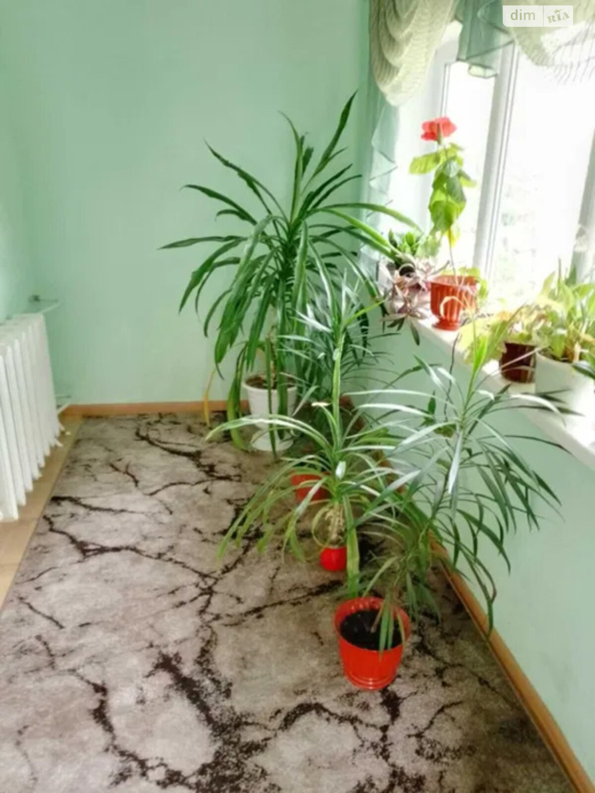 одноповерховий будинок, 70 кв. м, цегла. Продаж у Сокалі фото 1