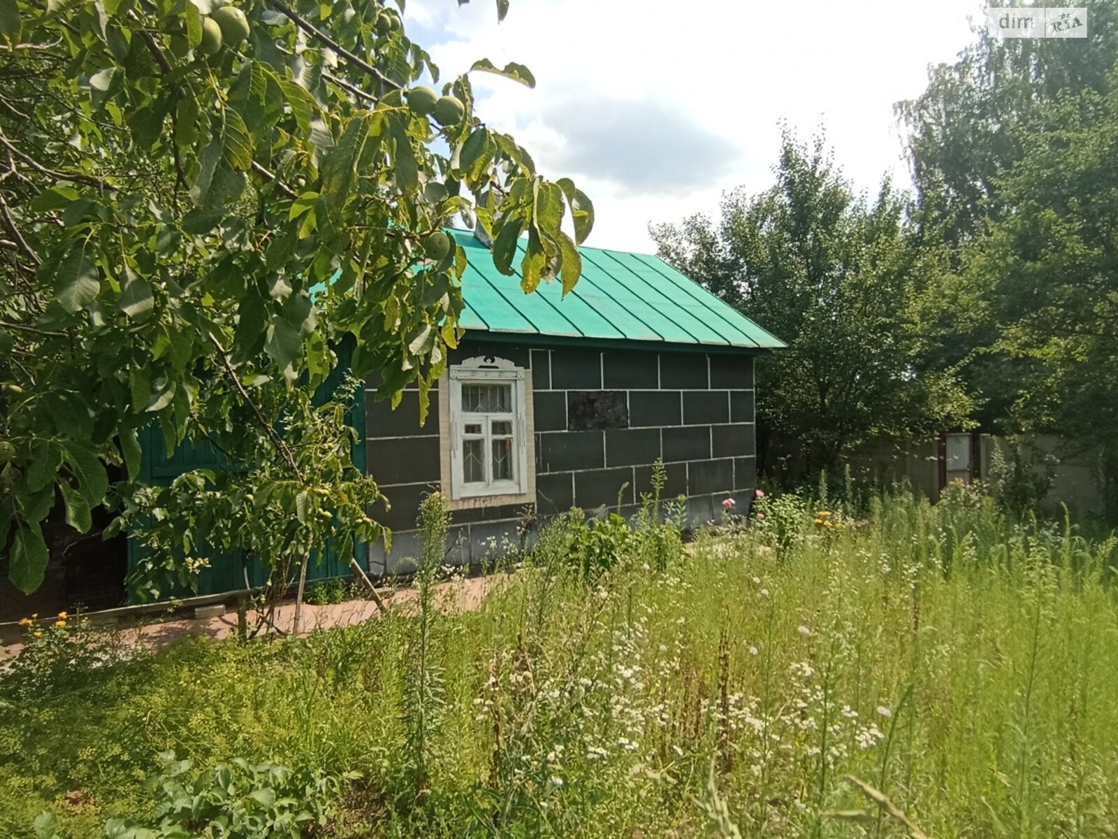 одноэтажный дом, 40 кв. м, кирпич. Продажа в Сокирине фото 1 одноэтажный дом, 40 кв. м, кирпич. Продажа в Сокирине фото 1