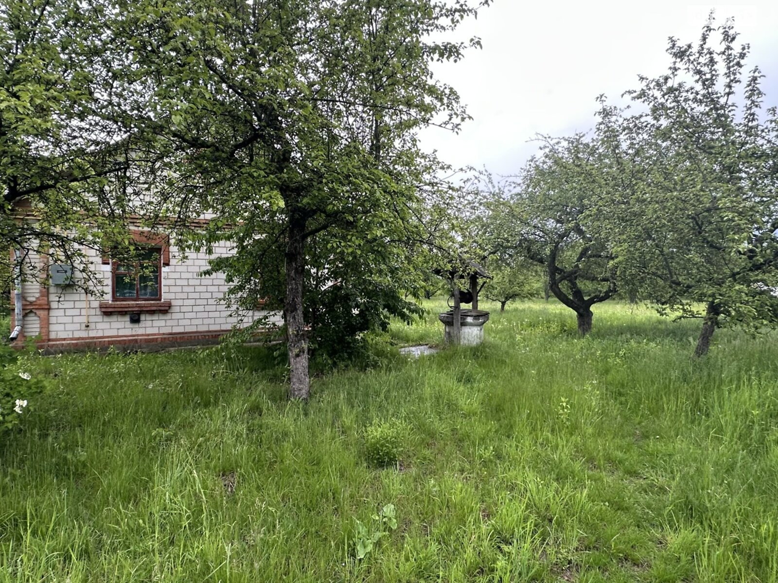 одноповерховий будинок з верандою, 60 кв. м, цегла. Продаж у Сокиринцях фото 1 одноповерховий будинок з верандою, 60 кв. м, цегла. Продаж у Сокиринцях фото 1
