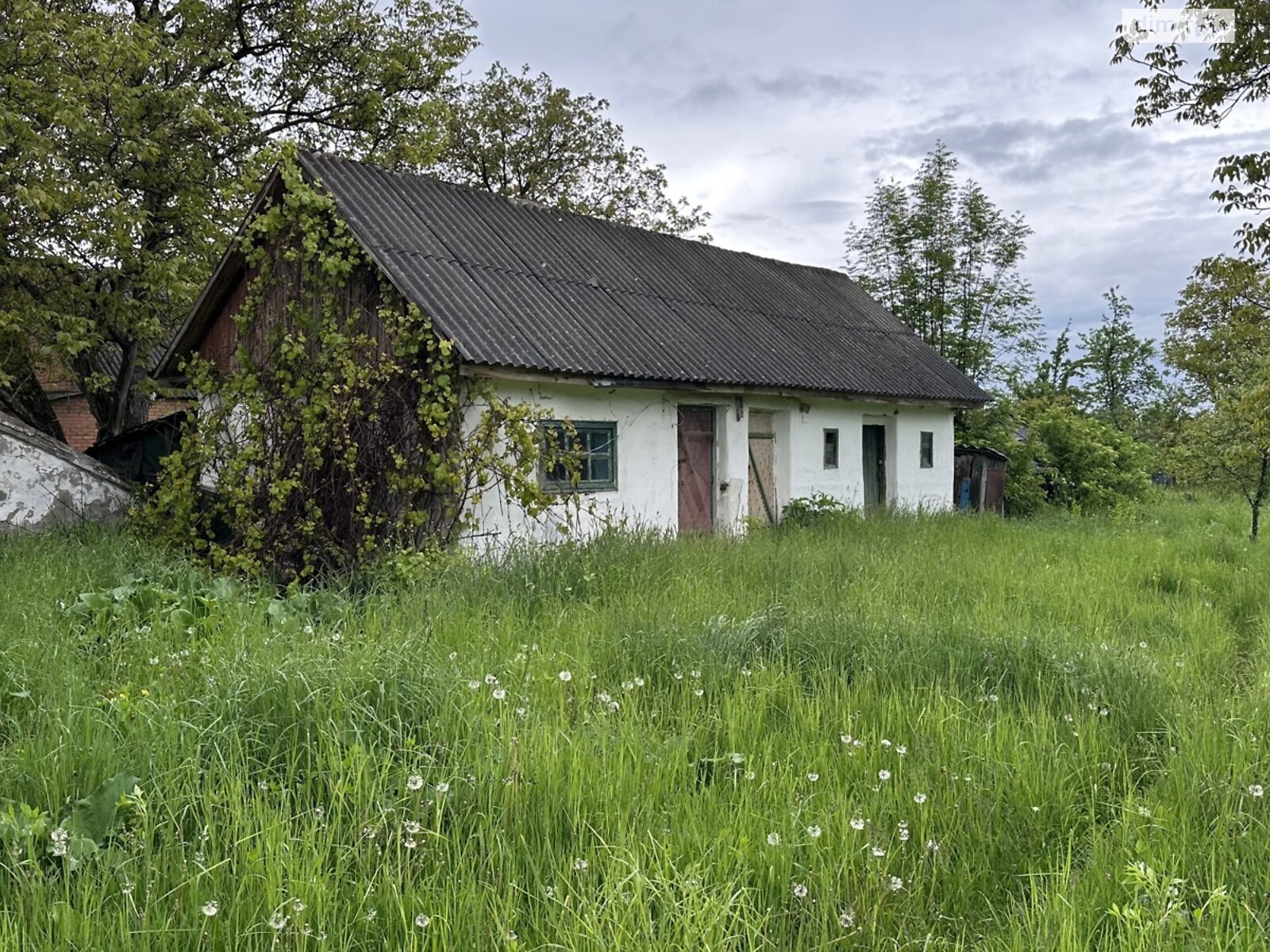 одноповерховий будинок з верандою, 60 кв. м, цегла. Продаж у Сокиринцях фото 1 одноповерховий будинок з верандою, 60 кв. м, цегла. Продаж у Сокиринцях фото 1