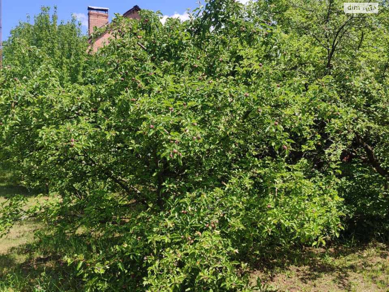 двухэтажный дом, 171.5 кв. м, кирпич. Продажа в Сокиринцах фото 1 двухэтажный дом, 171.5 кв. м, кирпич. Продажа в Сокиринцах фото 1