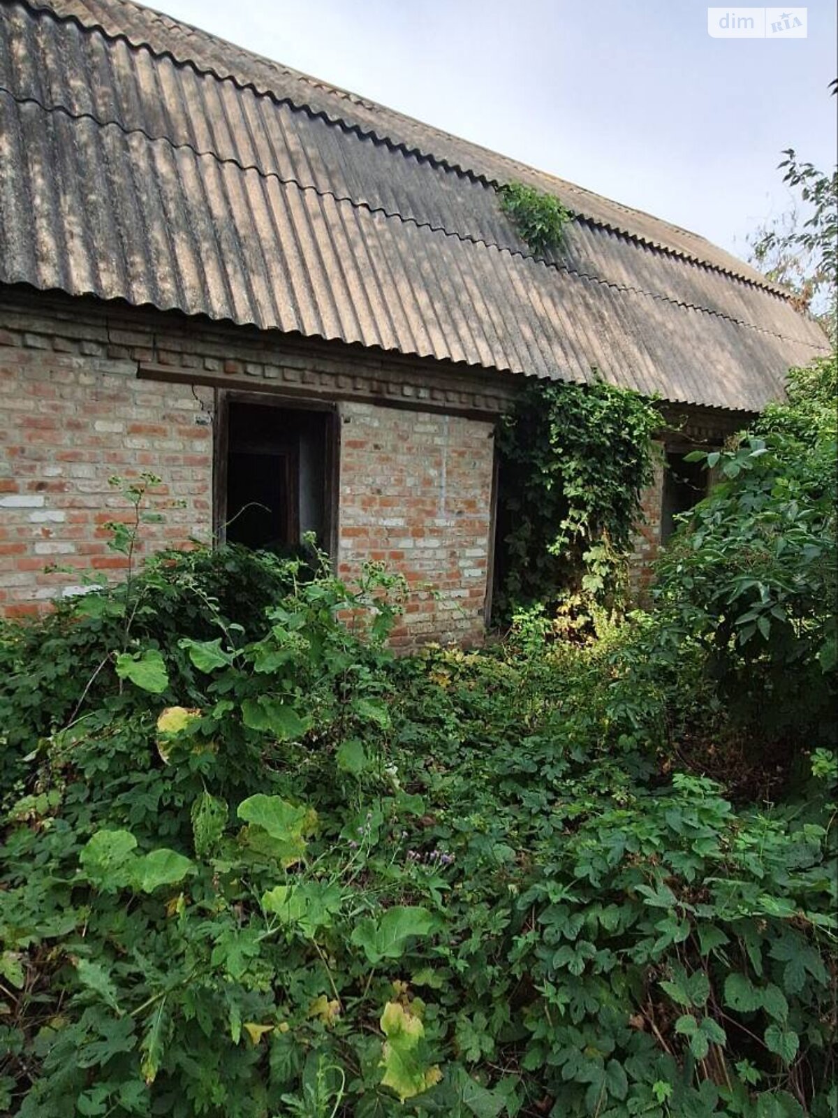 одноповерховий будинок, 75 кв. м, цегла. Продаж у Сокиринцях фото 1 одноповерховий будинок, 75 кв. м, цегла. Продаж у Сокиринцях фото 1