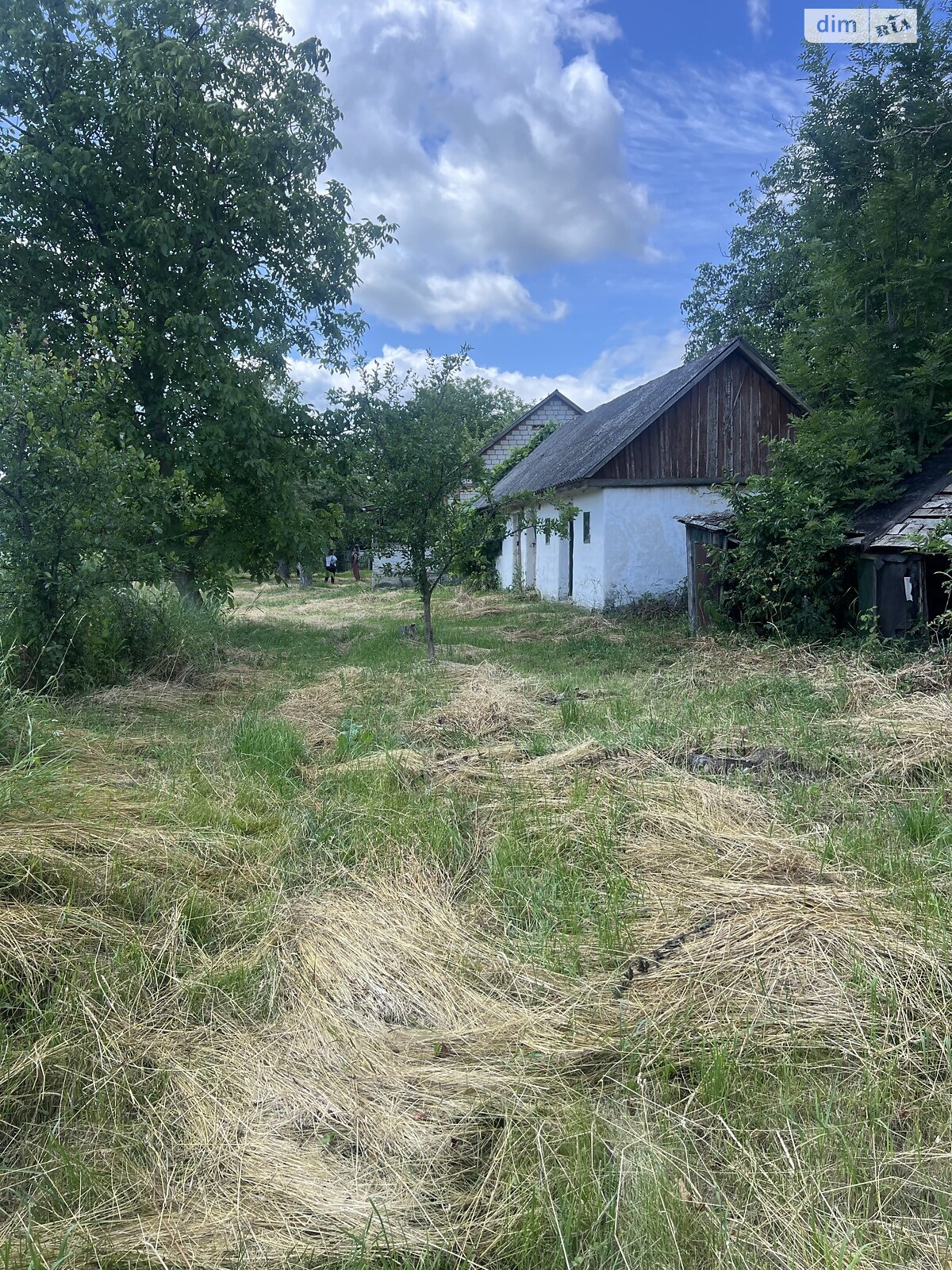 одноповерховий будинок, 44.9 кв. м, цегла. Продаж у Сокиринцях фото 1