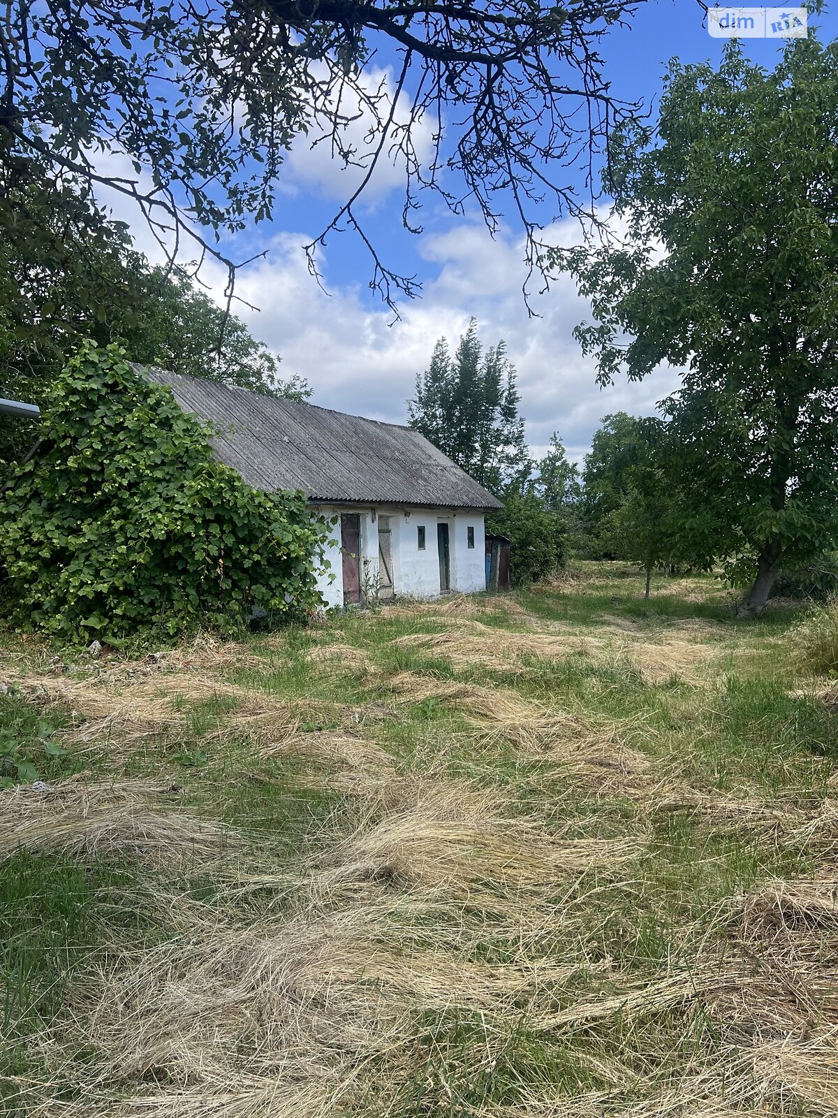 одноповерховий будинок, 44.9 кв. м, цегла. Продаж у Сокиринцях фото 1