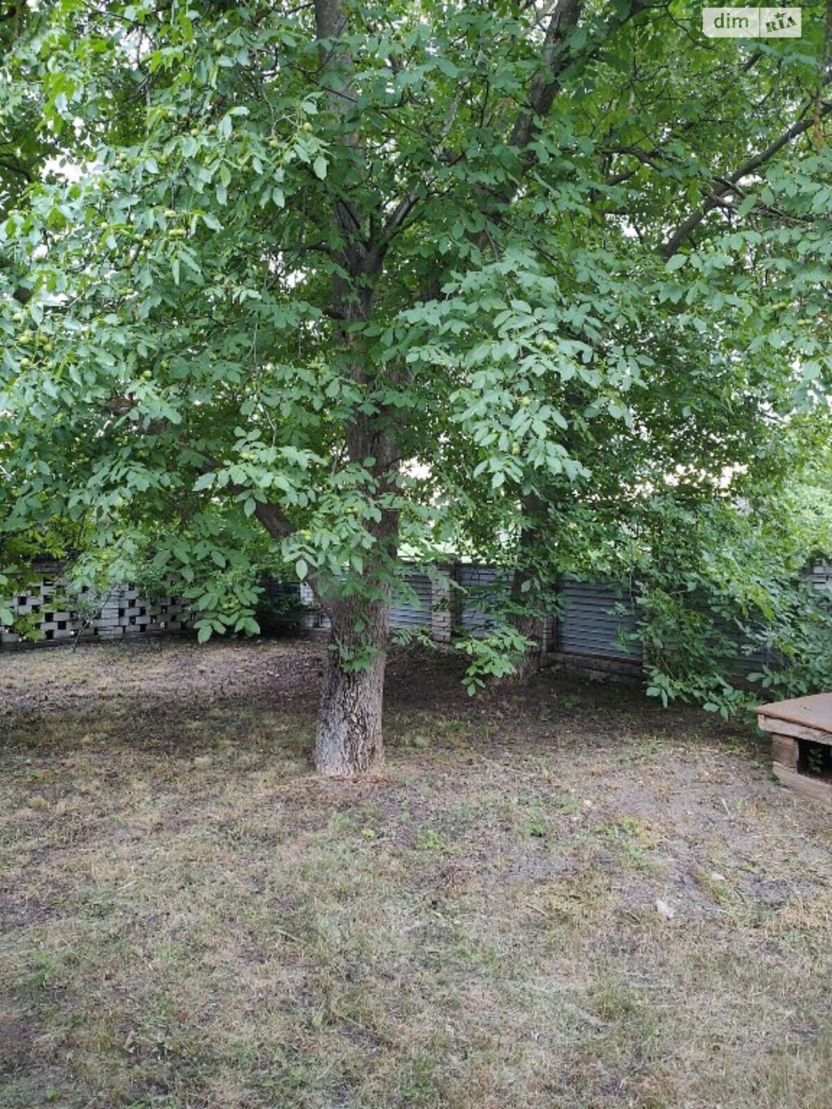 одноповерховий будинок з гаражем, 250 кв. м, цегла. Продаж у Соколі фото 1 одноповерховий будинок з гаражем, 250 кв. м, цегла. Продаж у Соколі фото 1