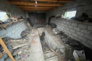 одноповерховий будинок, 29.2 кв. м, кирпич. Продаж у Соколівці фото 2