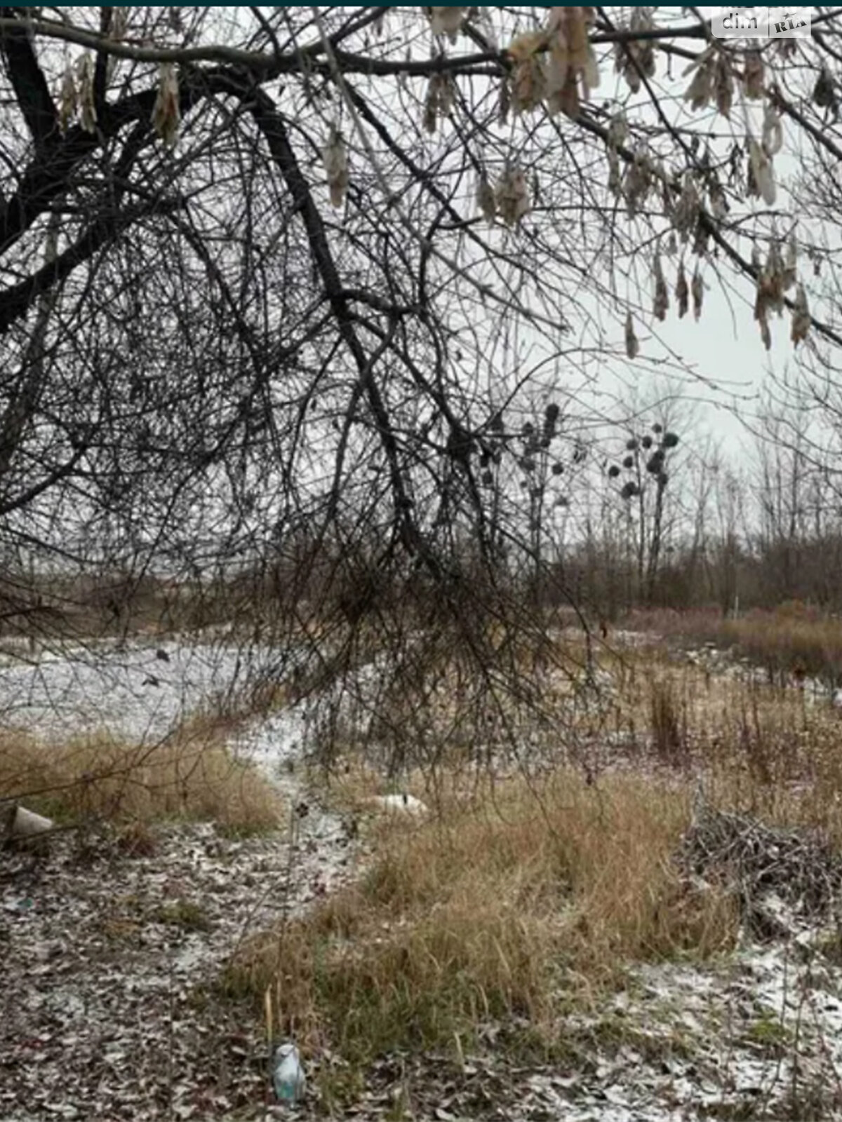 одноповерховий будинок з верандою, 120 кв. м, цегла. Продаж у Соколова фото 1