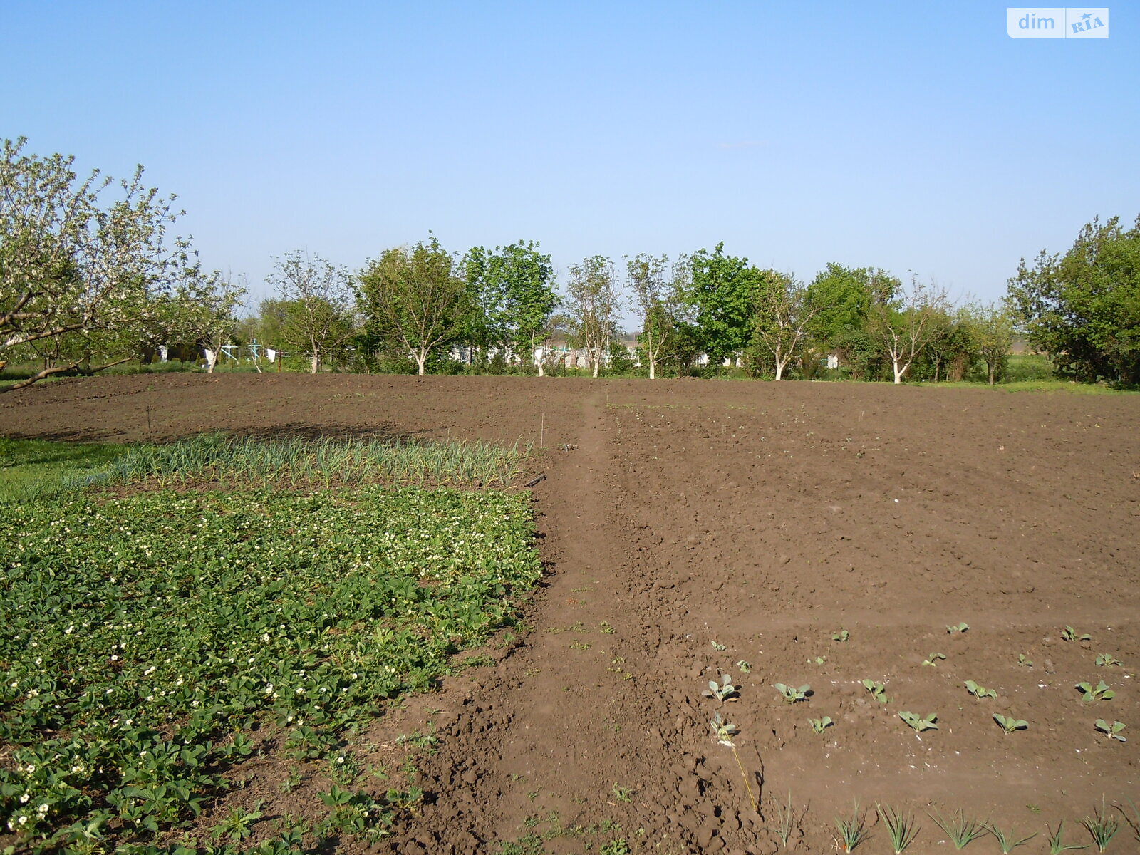 одноповерховий будинок з гаражем, 70 кв. м, цегла. Продаж у Соколова фото 1