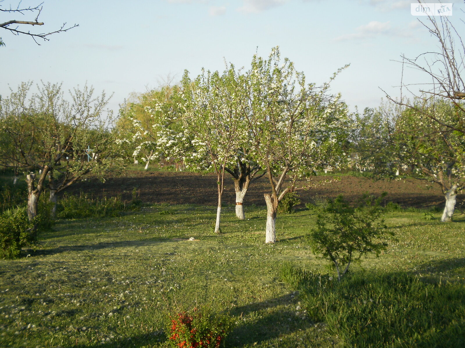 одноповерховий будинок з гаражем, 70 кв. м, цегла. Продаж у Соколова фото 1