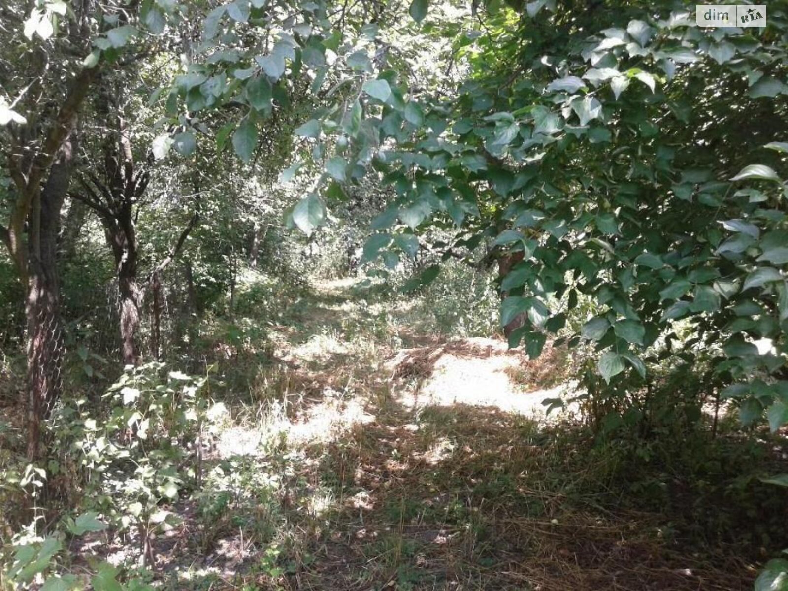 одноповерховий будинок з гаражем, 50 кв. м, зруб. Продаж у Соловеевке фото 1 одноповерховий будинок з гаражем, 50 кв. м, зруб. Продаж у Соловеевке фото 1