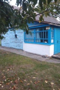 одноэтажный дом с гаражом, 57 кв. м, сруб. Продажа в Соловеевке фото 2