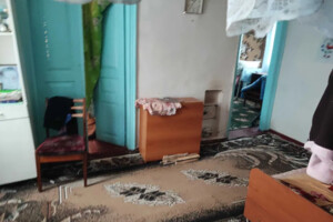 одноповерховий будинок з опаленням, 66 кв. м, дерево та цегла. Продаж у Соловеевке фото 2