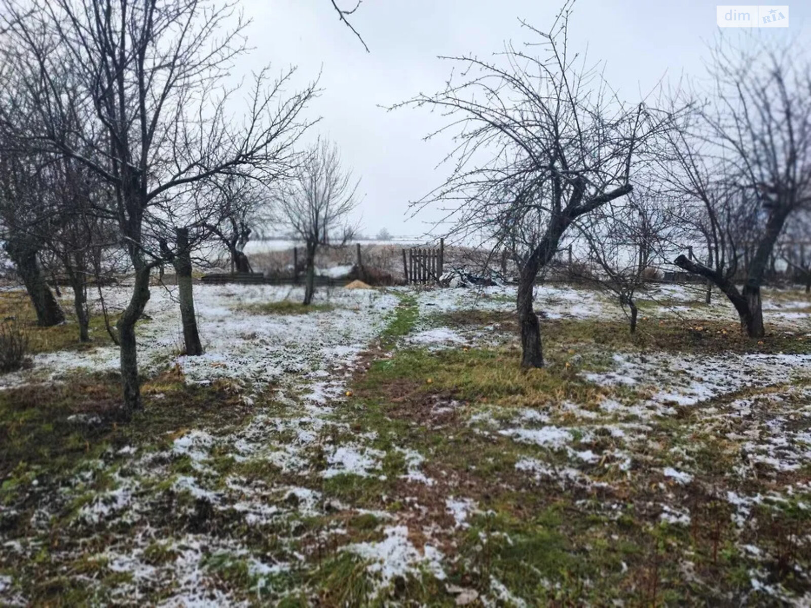 одноповерховий будинок з опаленням, 66 кв. м, дерево та цегла. Продаж у Соловеевке фото 1 одноповерховий будинок з опаленням, 66 кв. м, дерево та цегла. Продаж у Соловеевке фото 1