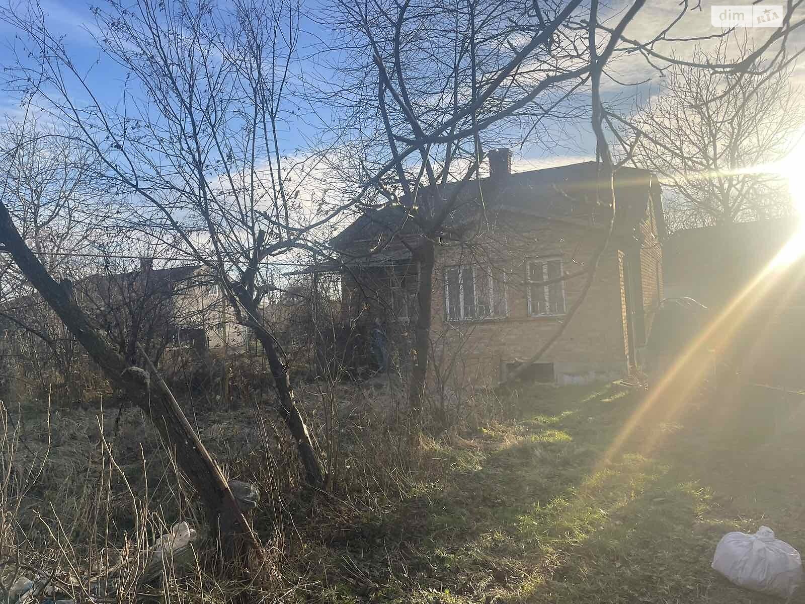 одноповерховий будинок, 63 кв. м, цегла. Продаж у Сопошине фото 1