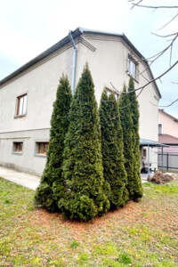 двоповерховий будинок з гаражем, 164 кв. м, кирпич. Продаж у Сопошине фото 2