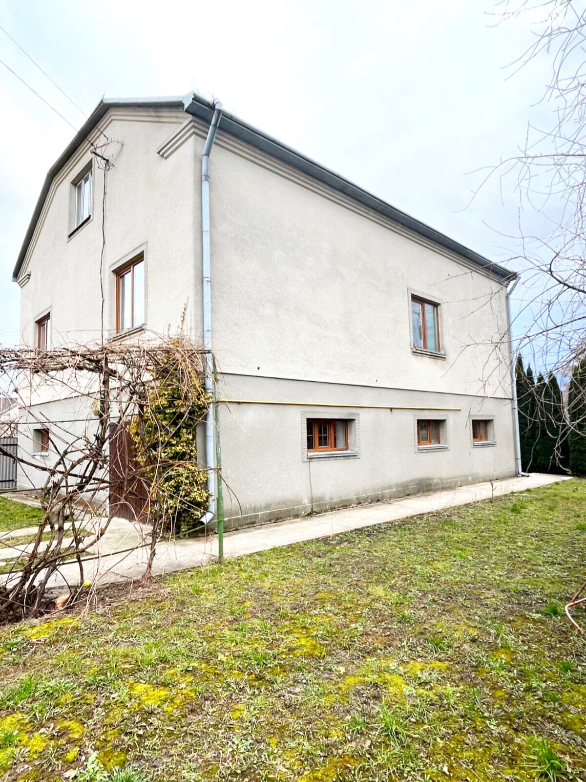 двоповерховий будинок з гаражем, 164 кв. м, кирпич. Продаж у Сопошине фото 1 двоповерховий будинок з гаражем, 164 кв. м, кирпич. Продаж у Сопошине фото 1