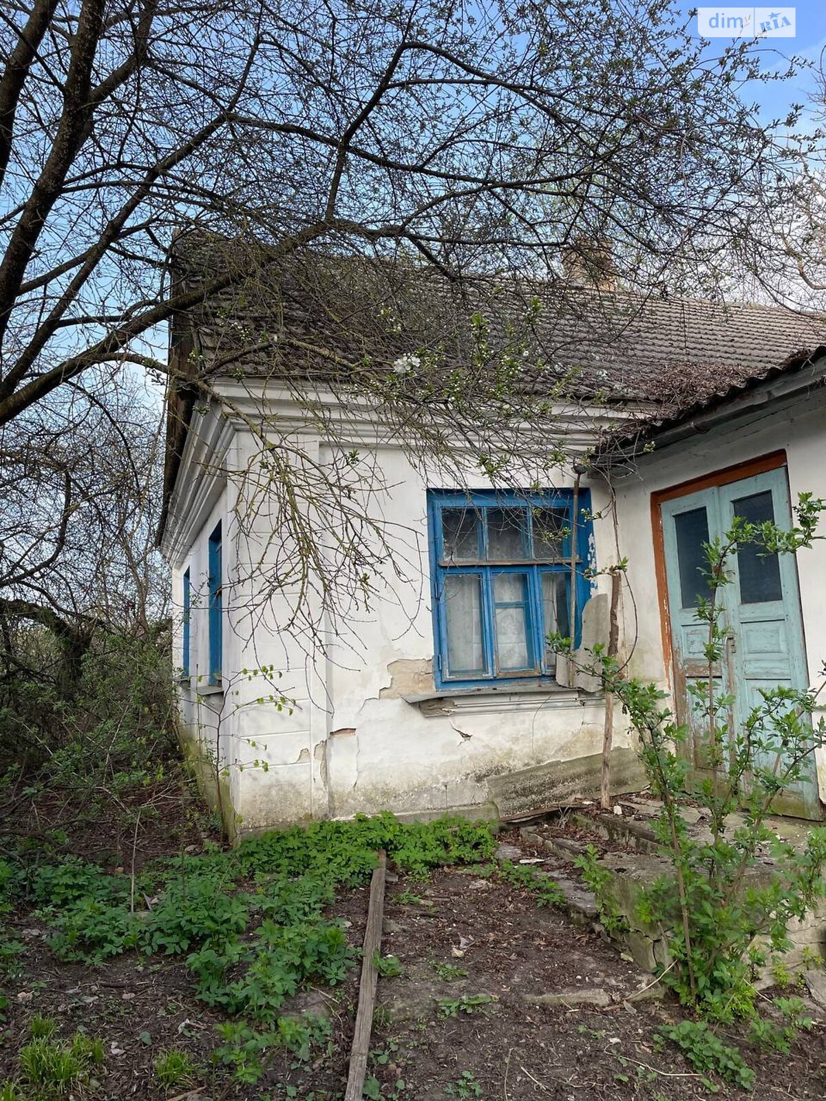 одноповерховий будинок з опаленням, 120 кв. м, цегла. Продаж у Соснівці фото 1 одноповерховий будинок з опаленням, 120 кв. м, цегла. Продаж у Соснівці фото 1
