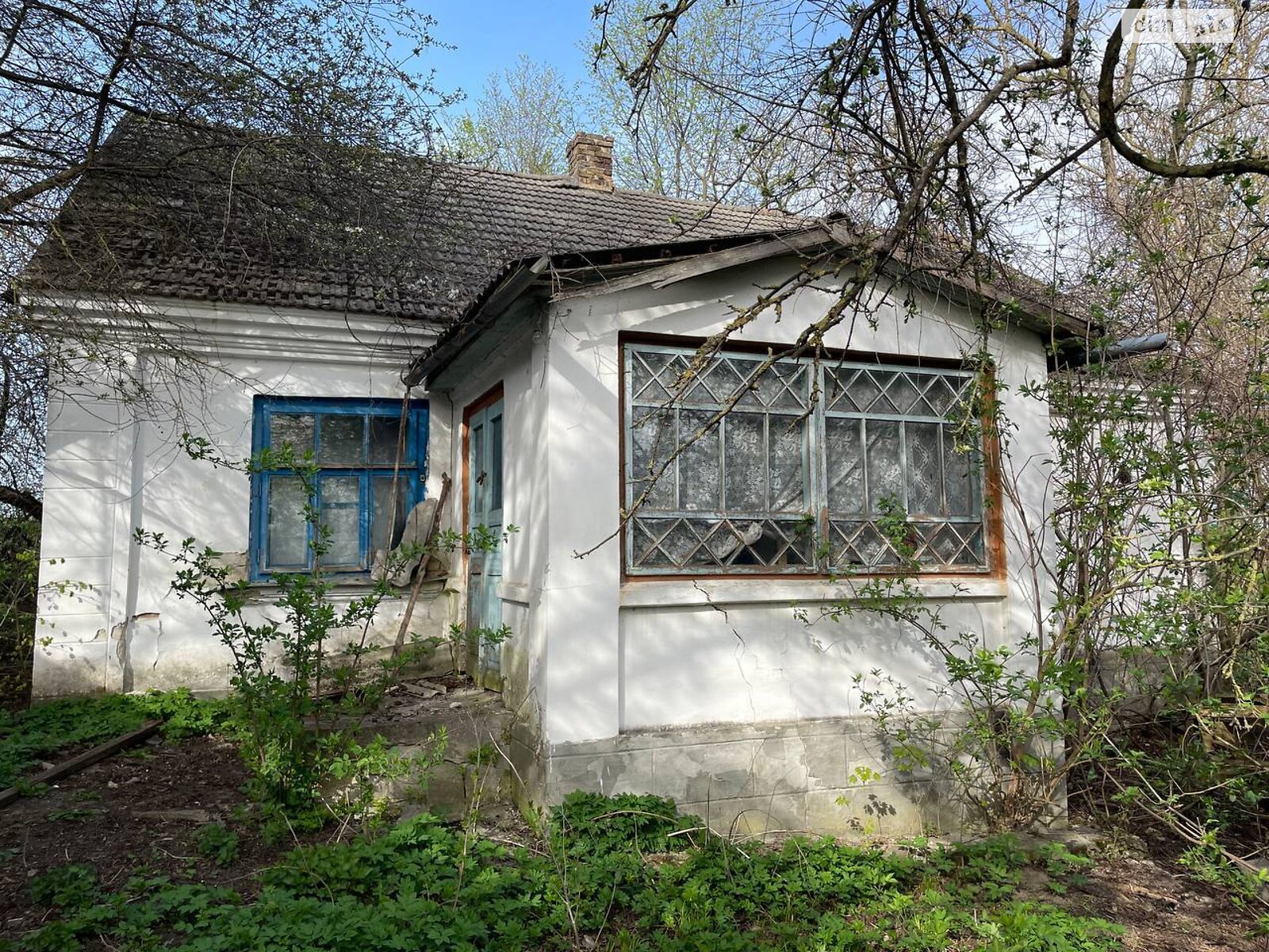 одноповерховий будинок з опаленням, 120 кв. м, цегла. Продаж у Соснівці фото 1 одноповерховий будинок з опаленням, 120 кв. м, цегла. Продаж у Соснівці фото 1