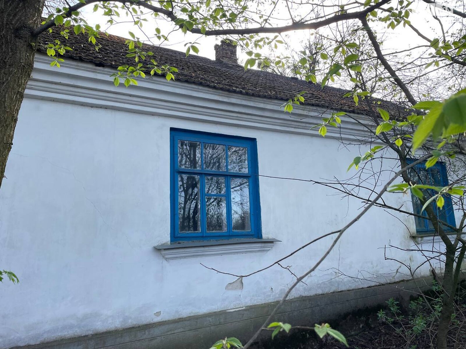 одноповерховий будинок з опаленням, 120 кв. м, цегла. Продаж у Соснівці фото 1 одноповерховий будинок з опаленням, 120 кв. м, цегла. Продаж у Соснівці фото 1