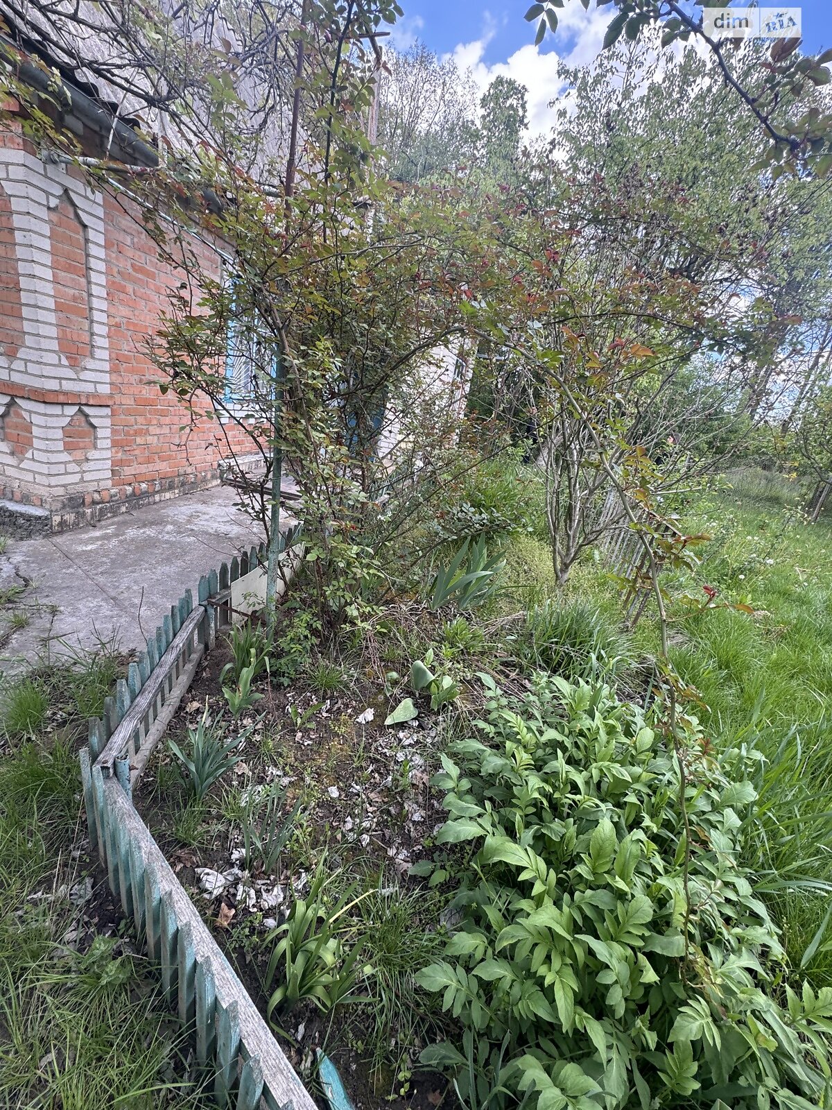 одноэтажный дом, 45 кв. м, кирпич. Продажа в Сосонке фото 1 одноэтажный дом, 45 кв. м, кирпич. Продажа в Сосонке фото 1