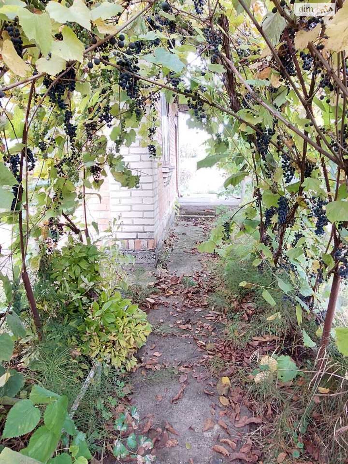 одноэтажный дом, 32.7 кв. м, кирпич. Продажа в Сосонке фото 1