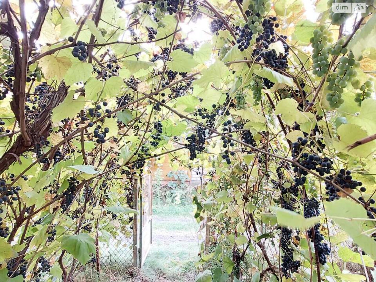 одноэтажный дом, 32.7 кв. м, кирпич. Продажа в Сосонке фото 1