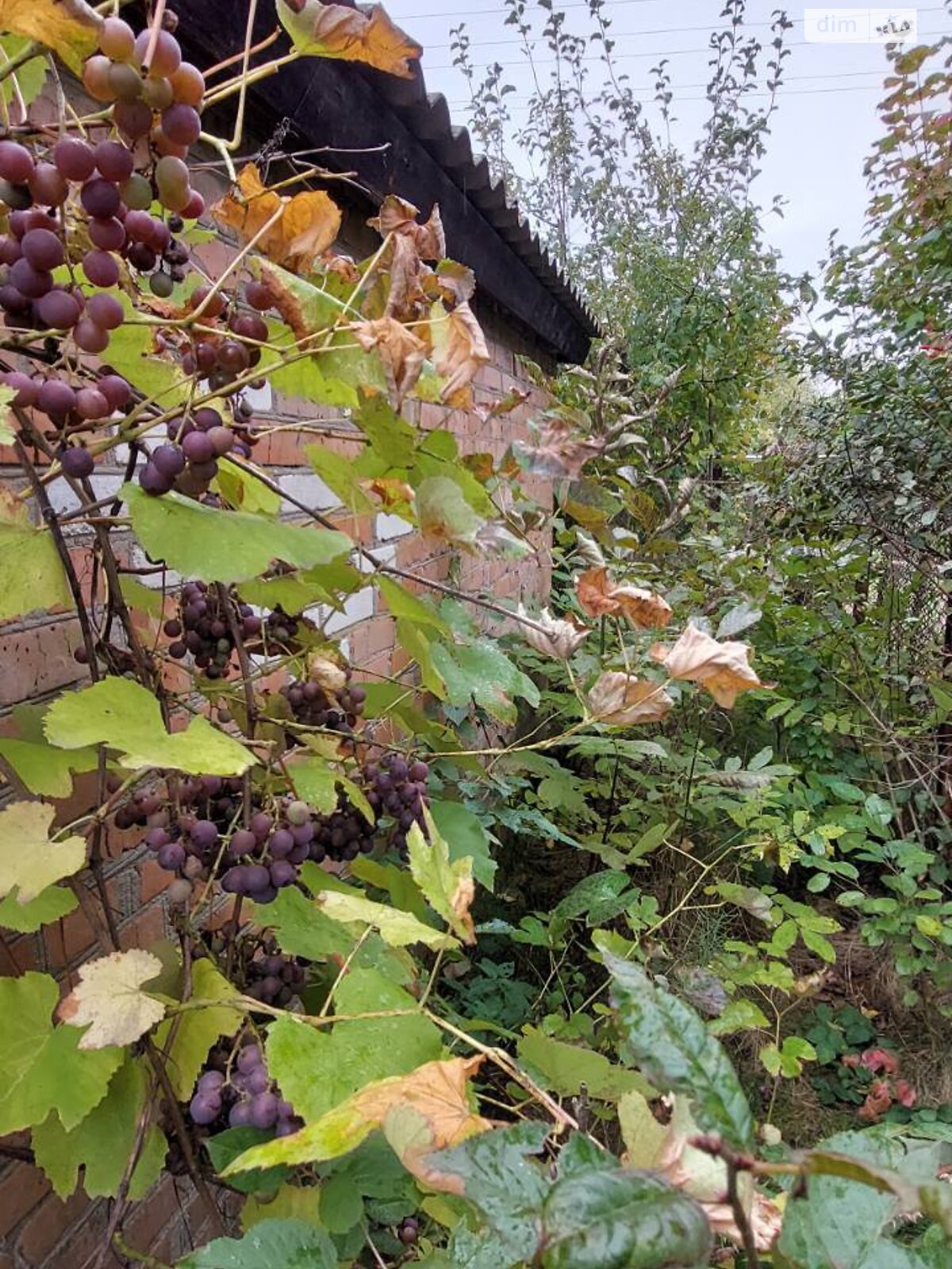 одноэтажный дом, 32.7 кв. м, кирпич. Продажа в Сосонке фото 1