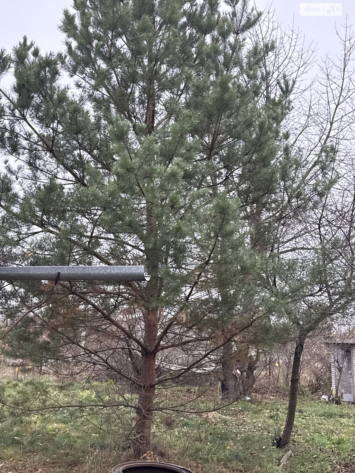 двоповерховий будинок, 70 кв. м, кирпич. Продаж у Сосонці фото 1