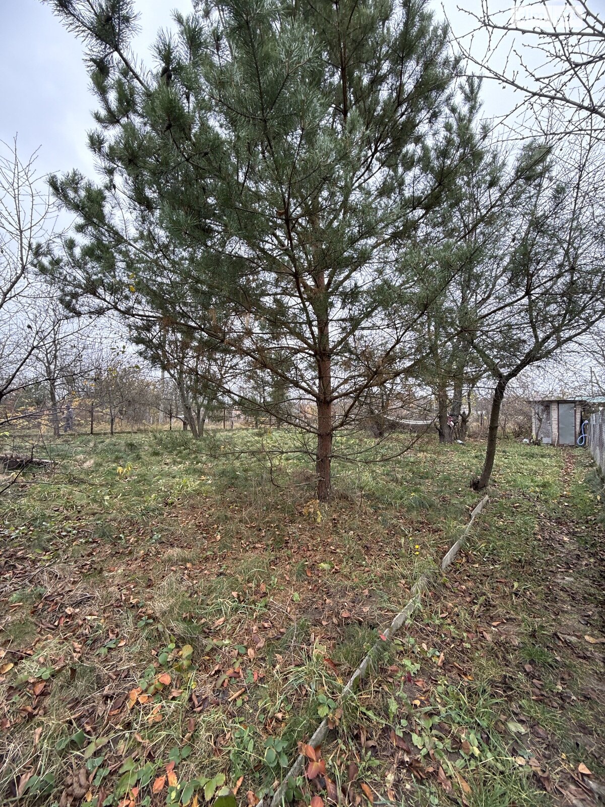 двоповерховий будинок, 70 кв. м, кирпич. Продаж у Сосонці фото 1