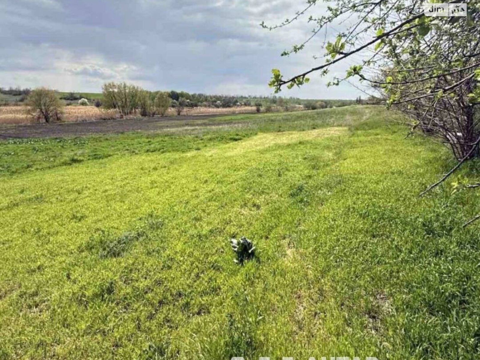 двоповерховий будинок з гаражем, 200 кв. м, цегла. Продаж у Созонівці фото 1 двоповерховий будинок з гаражем, 200 кв. м, цегла. Продаж у Созонівці фото 1