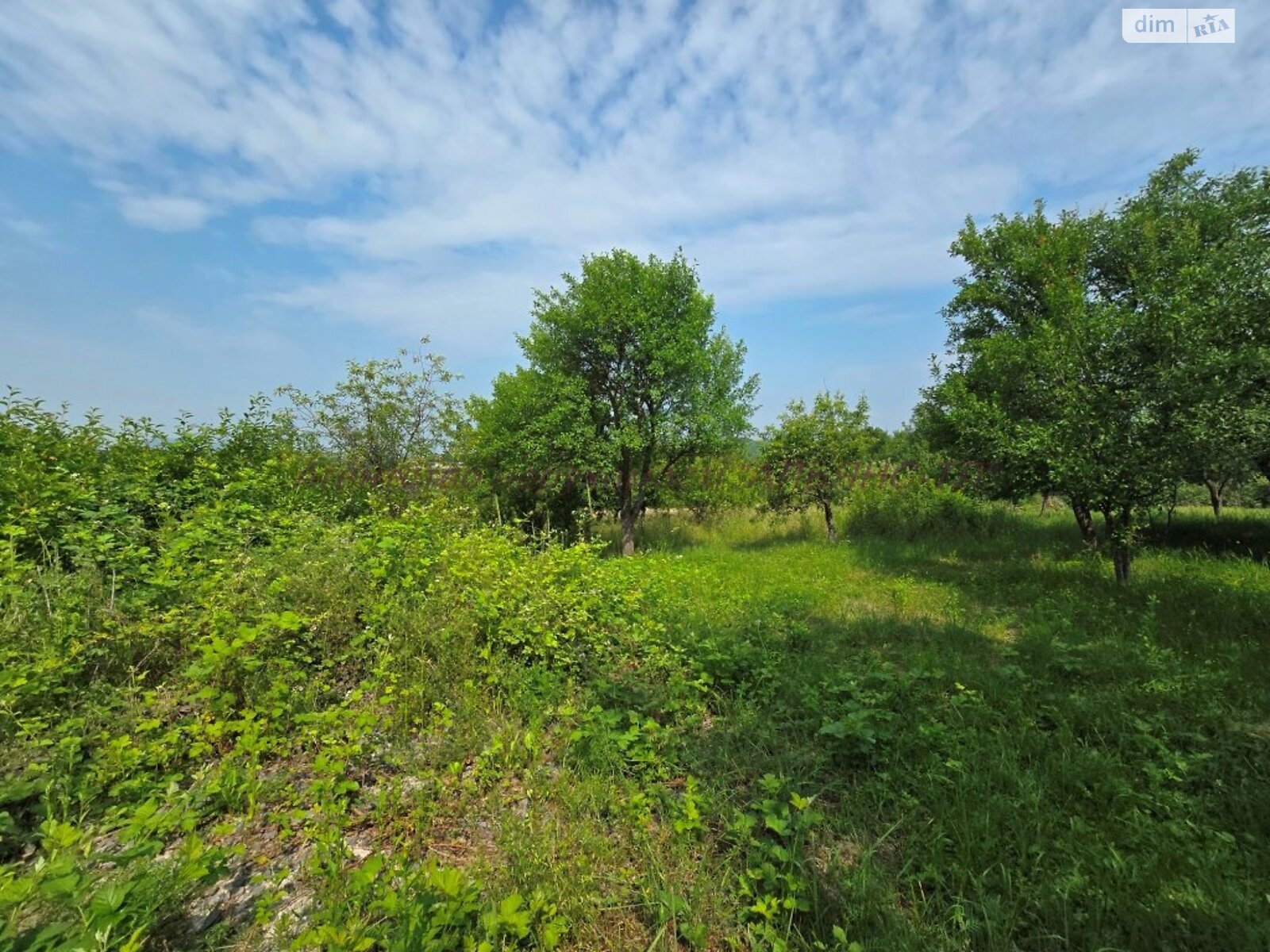 одноповерховий будинок, 45 кв. м, цегла саманна. Продаж у Середньому фото 1 одноповерховий будинок, 45 кв. м, цегла саманна. Продаж у Середньому фото 1
